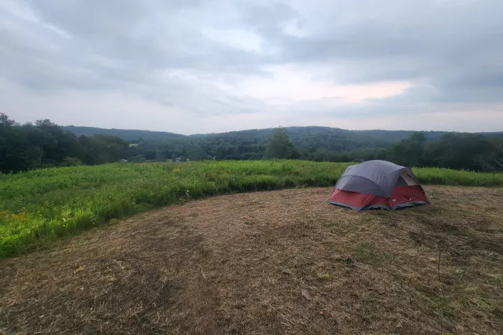 Swan Lake Bare Camping