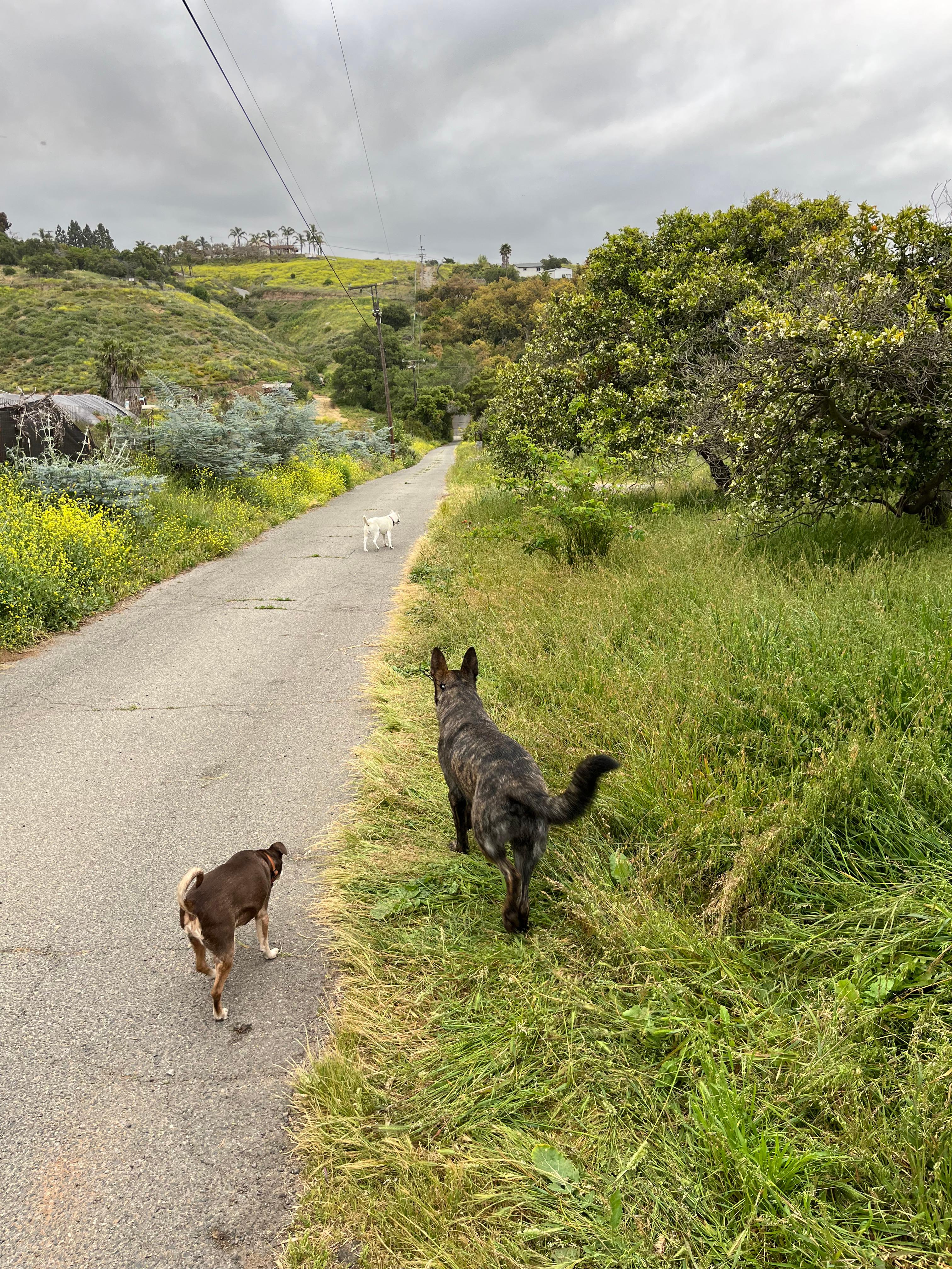 Morro Hills - Dark Sky Dry Camp/RV