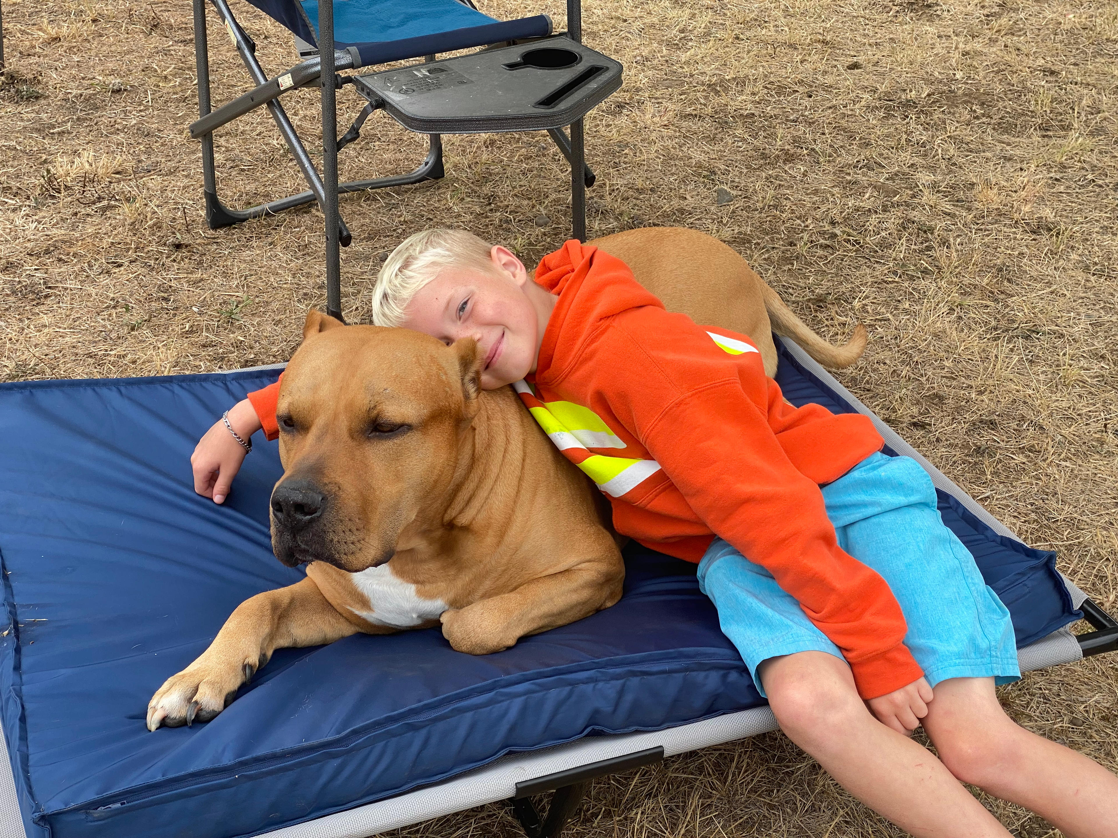 Brown Falcon Campground