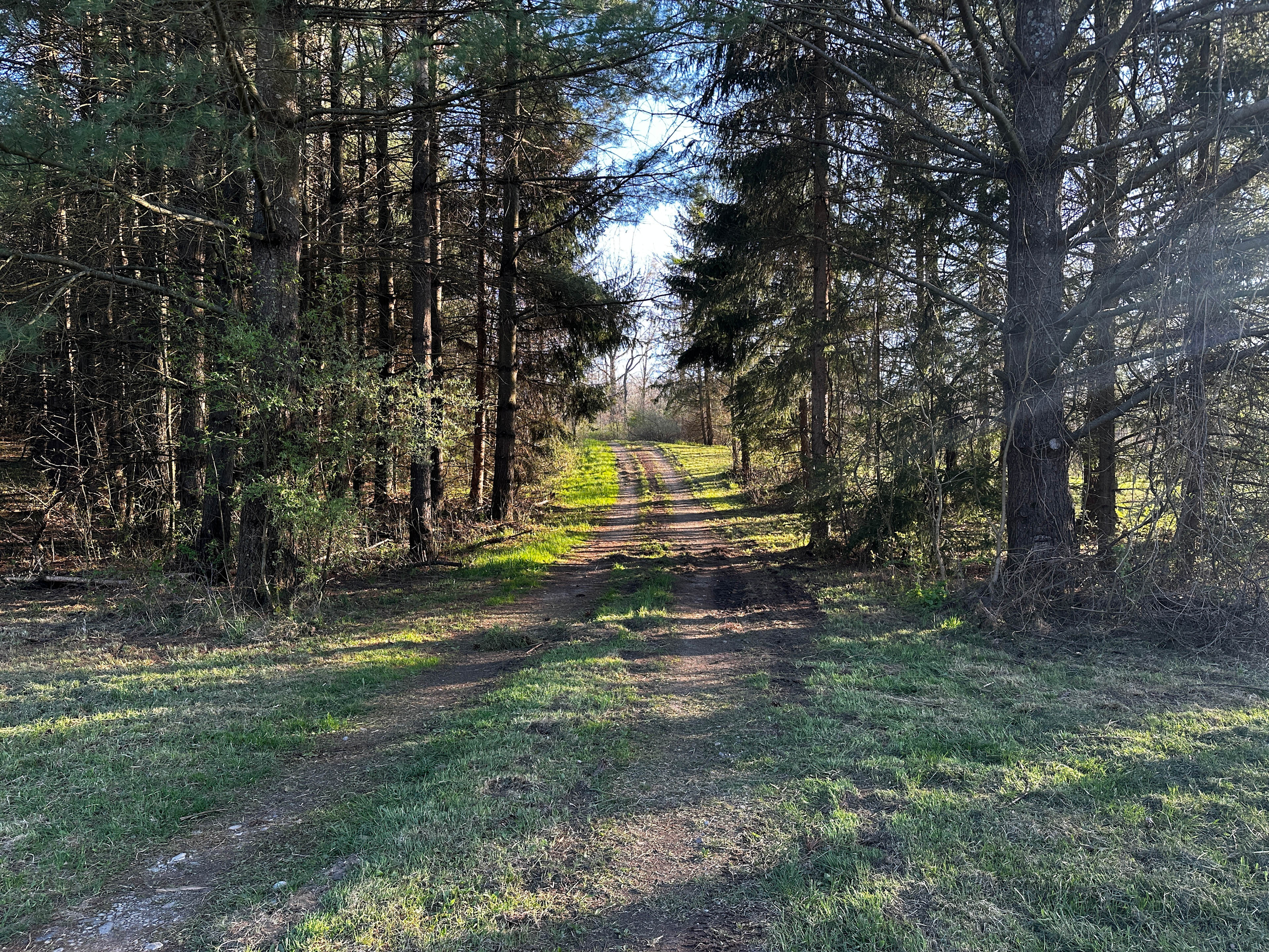 Boone Farm & Forest
