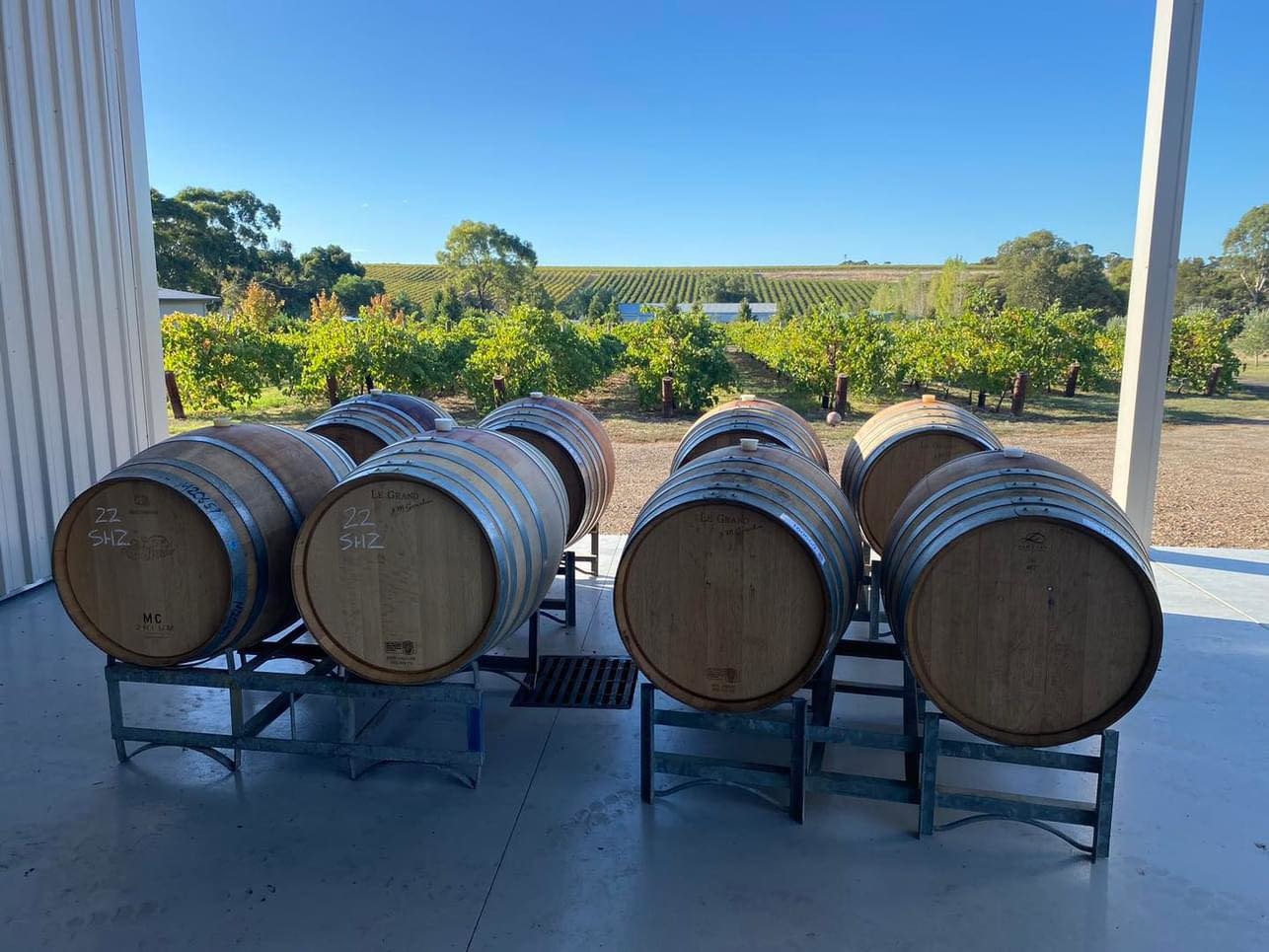 Six Strings - McLaren Vale Vineyard
