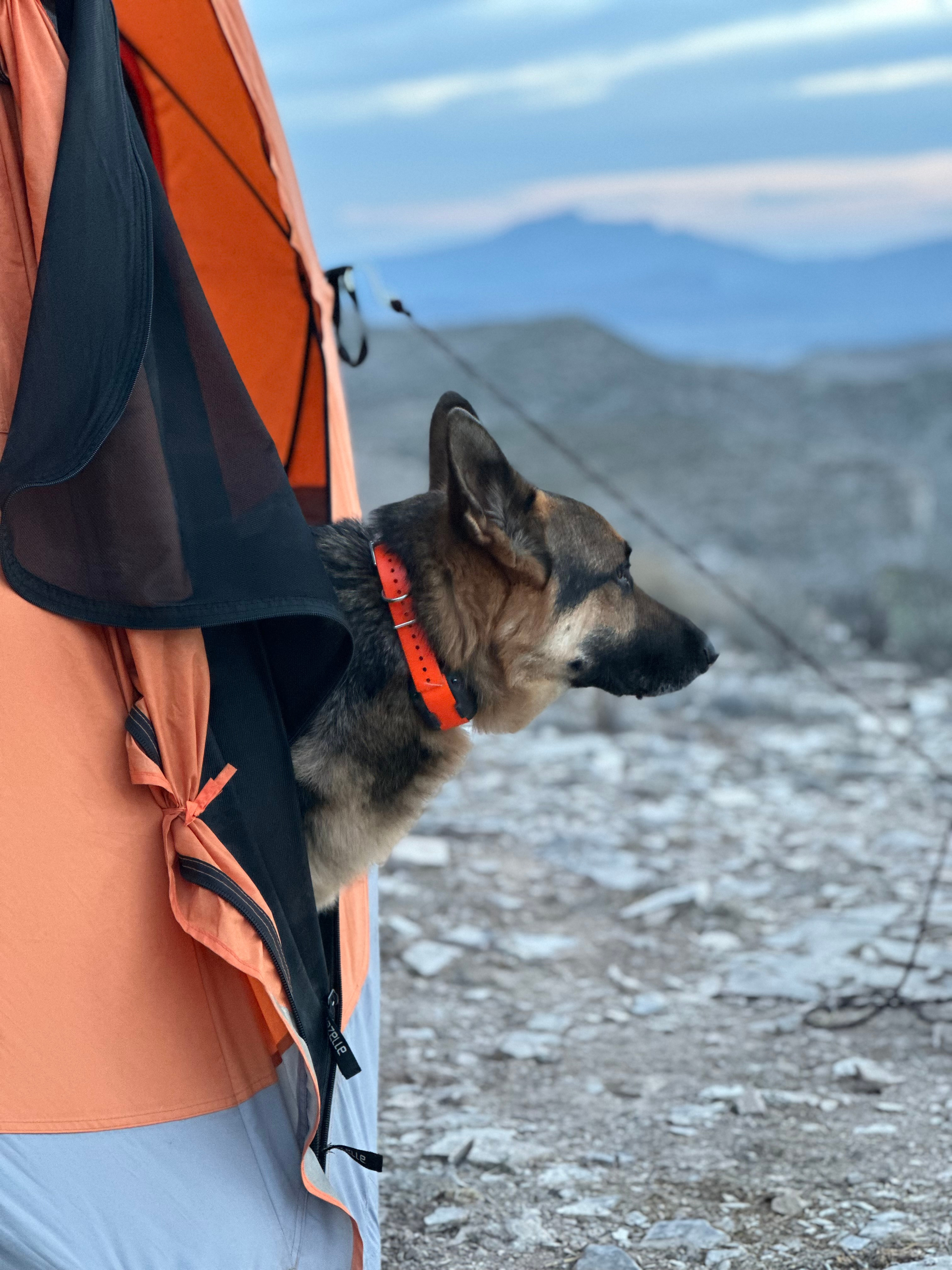 Big Bend Overland Adventure Camping