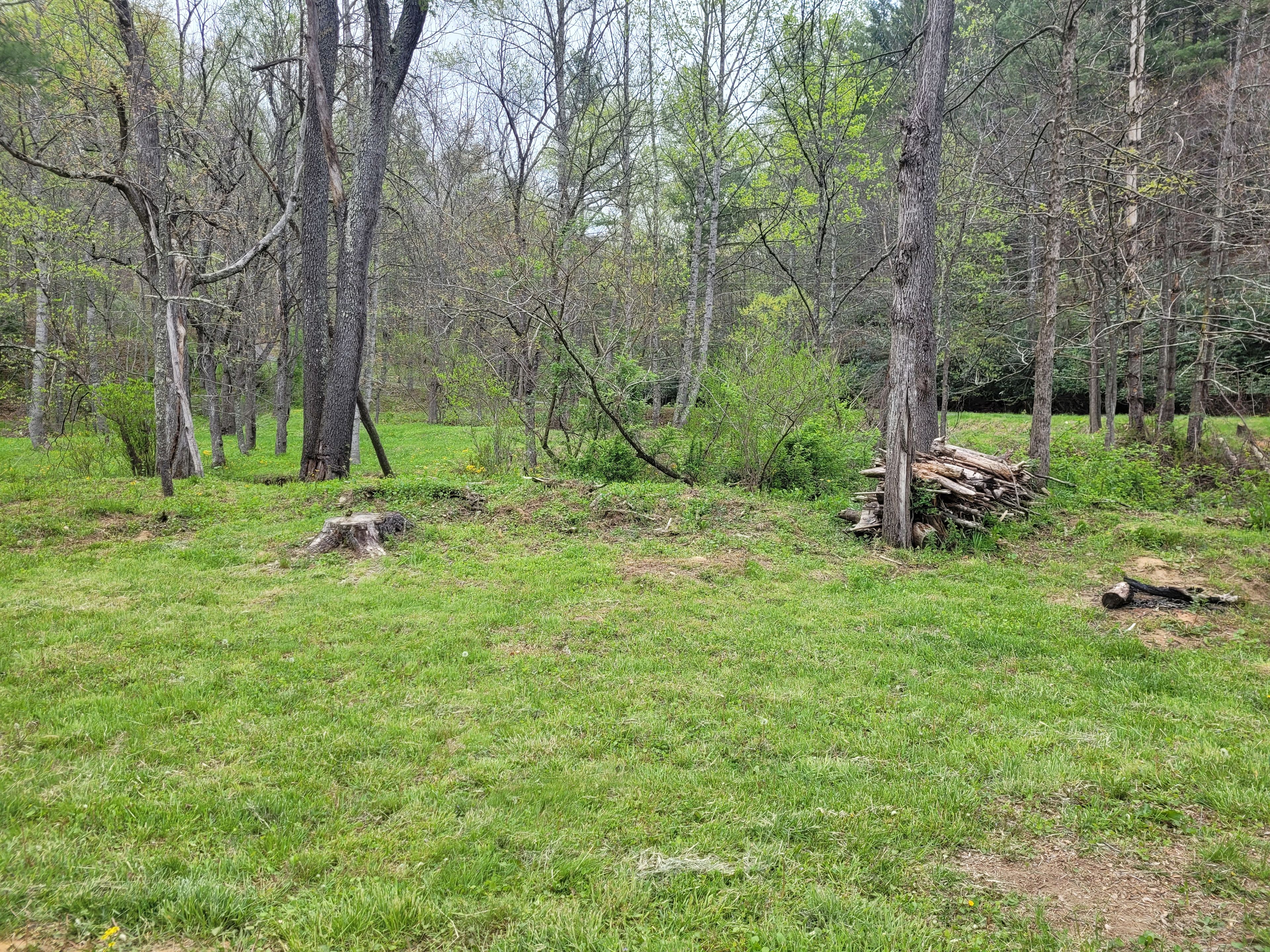 Hippie Hollow