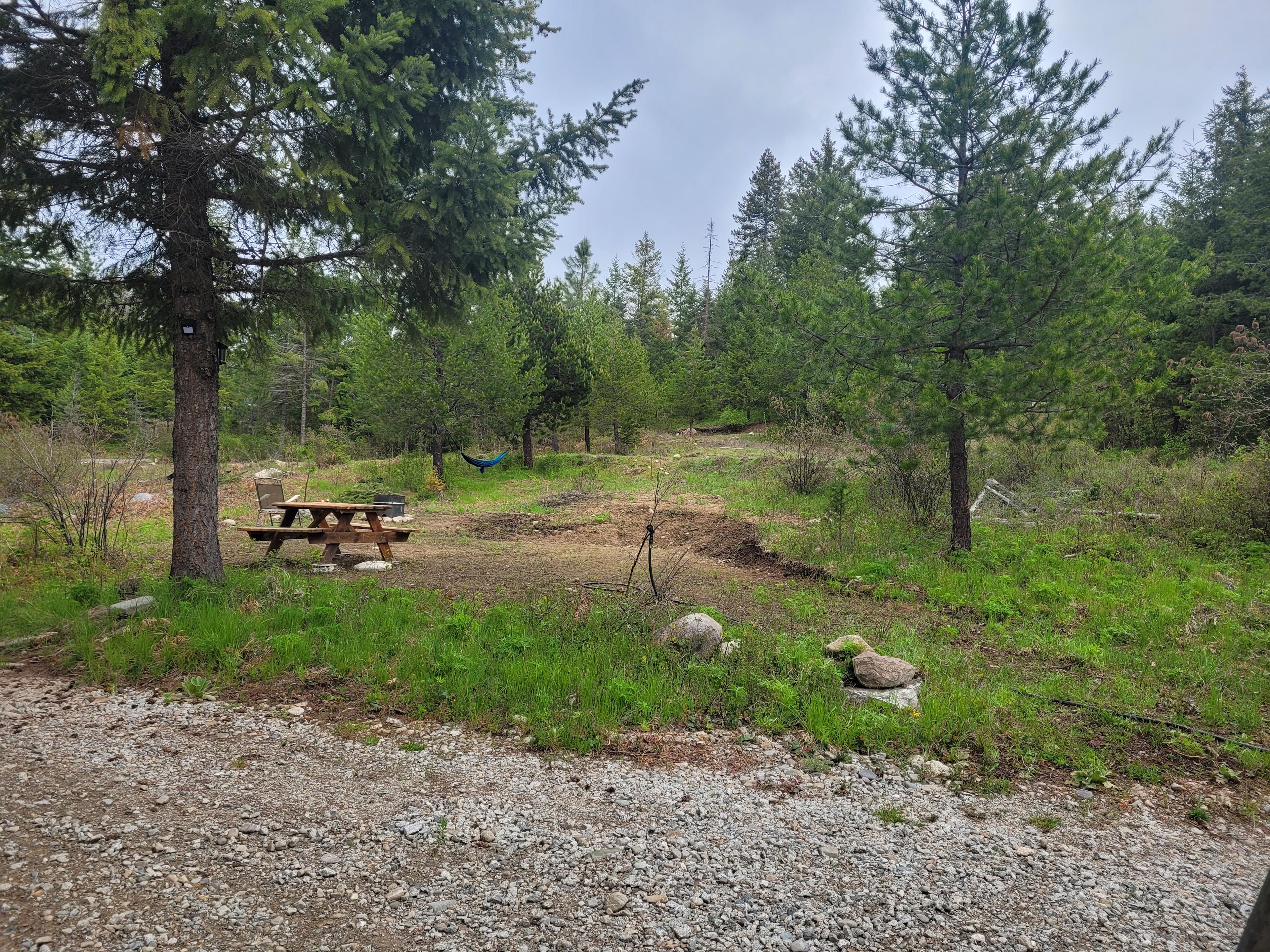 Careywood Hollow campsite.