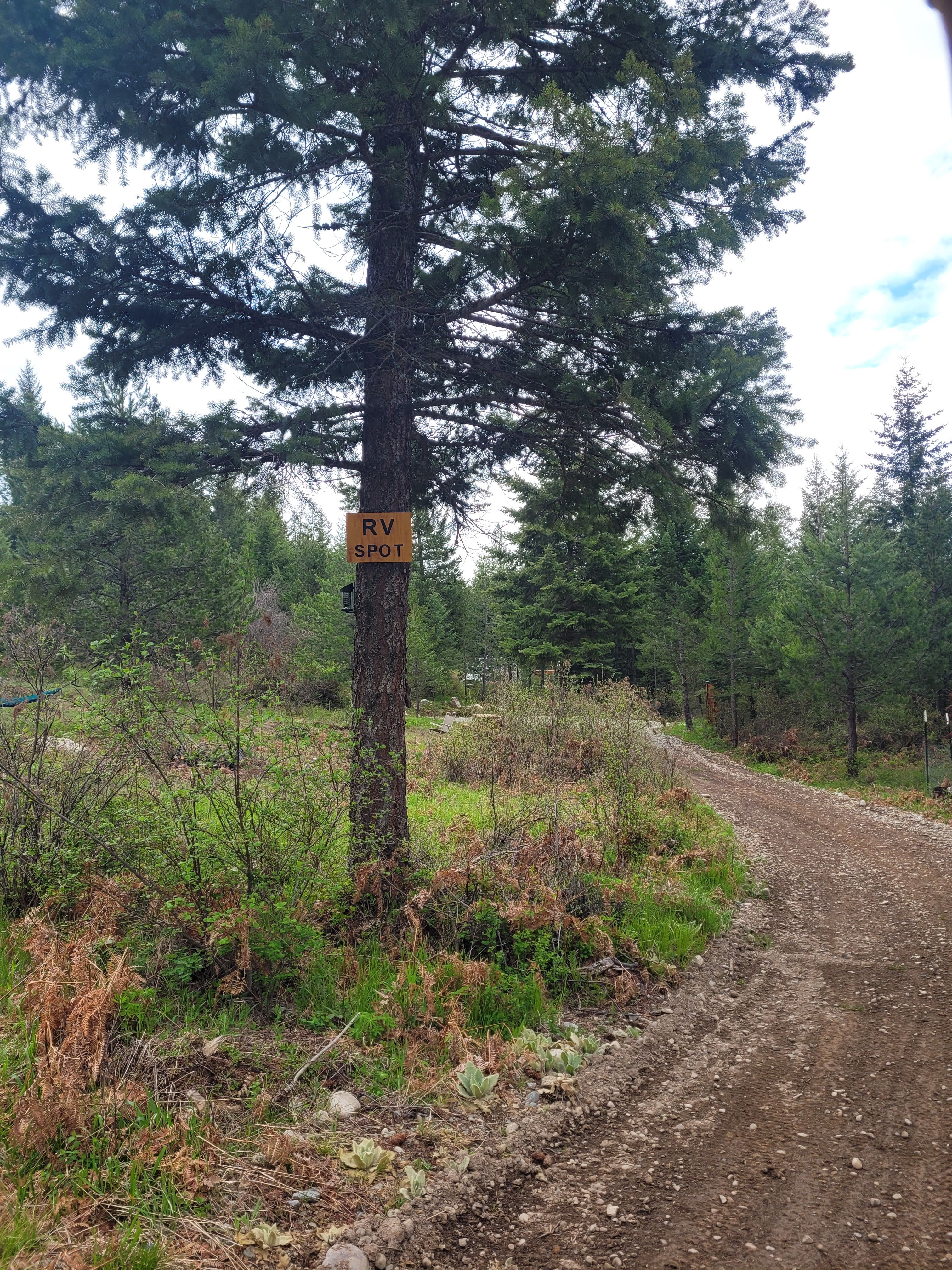 Careywood Hollow campsite.
