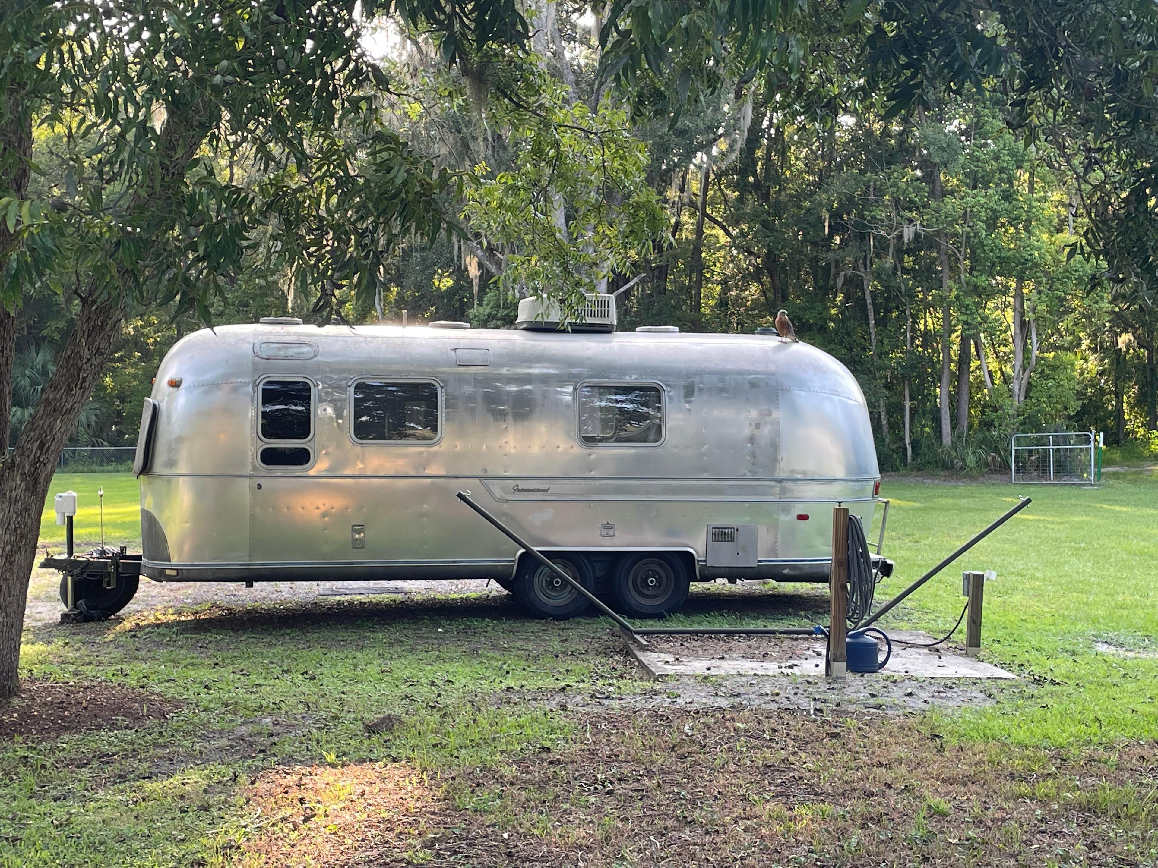 Downtown Nature Retreat