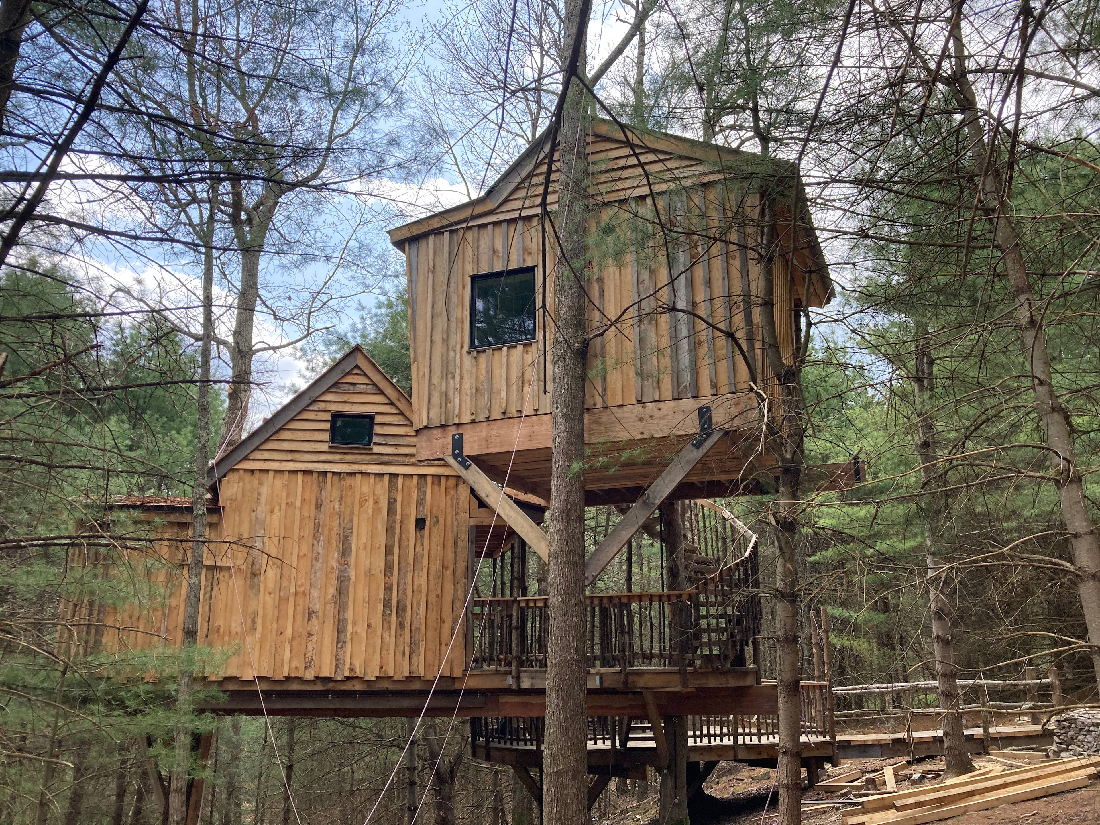 Little Birds Farm