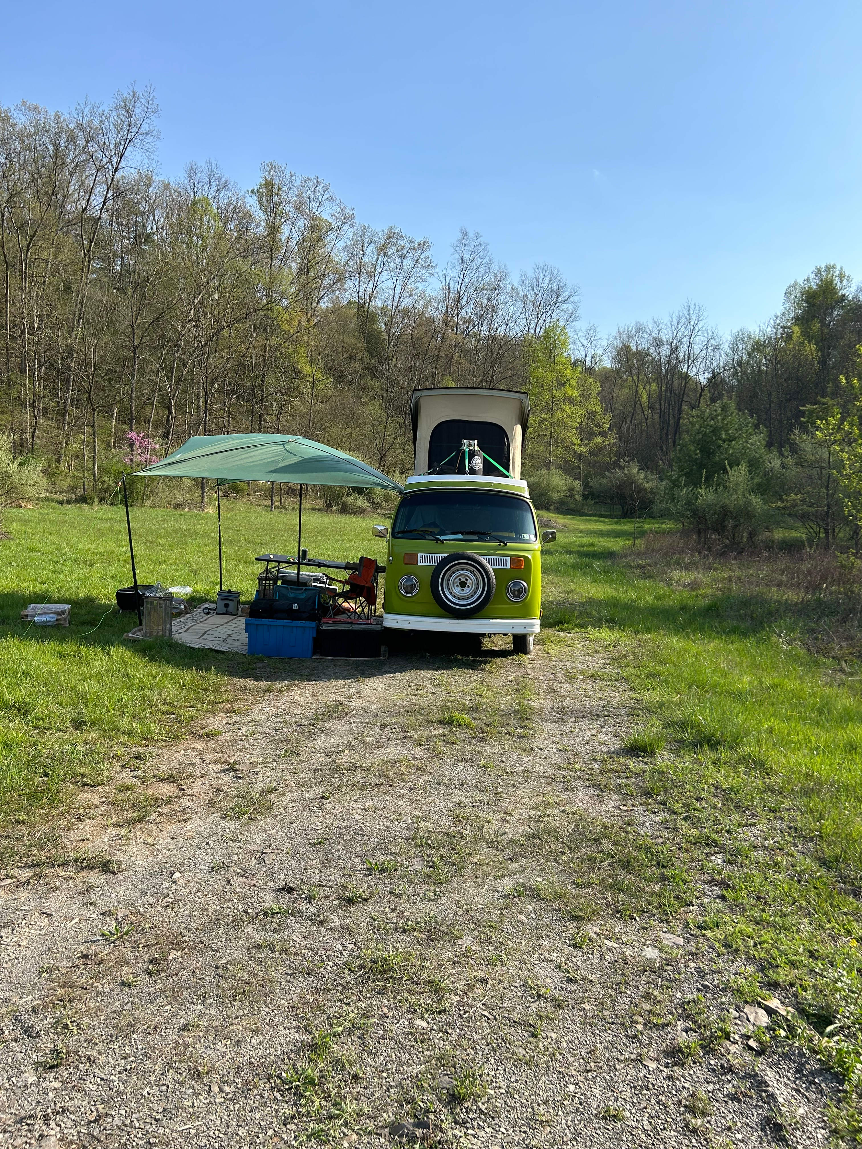 Wilson’s Boondock Hollow