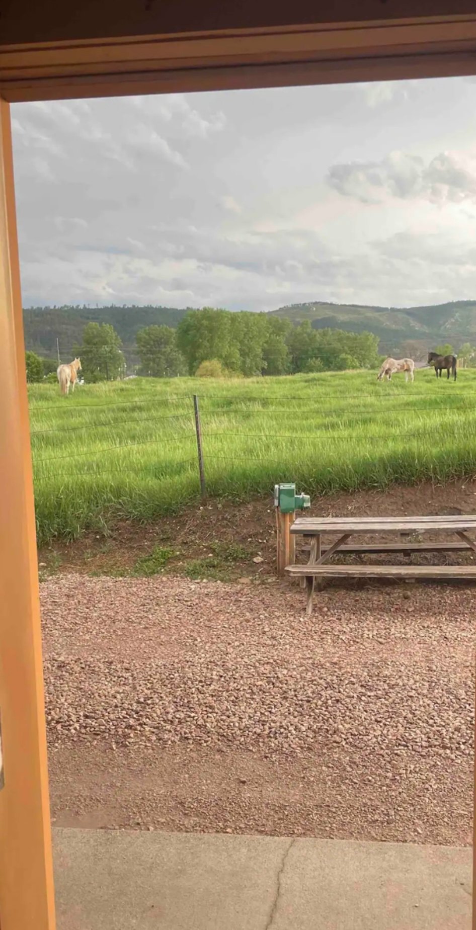 Spring Valley Cabins
