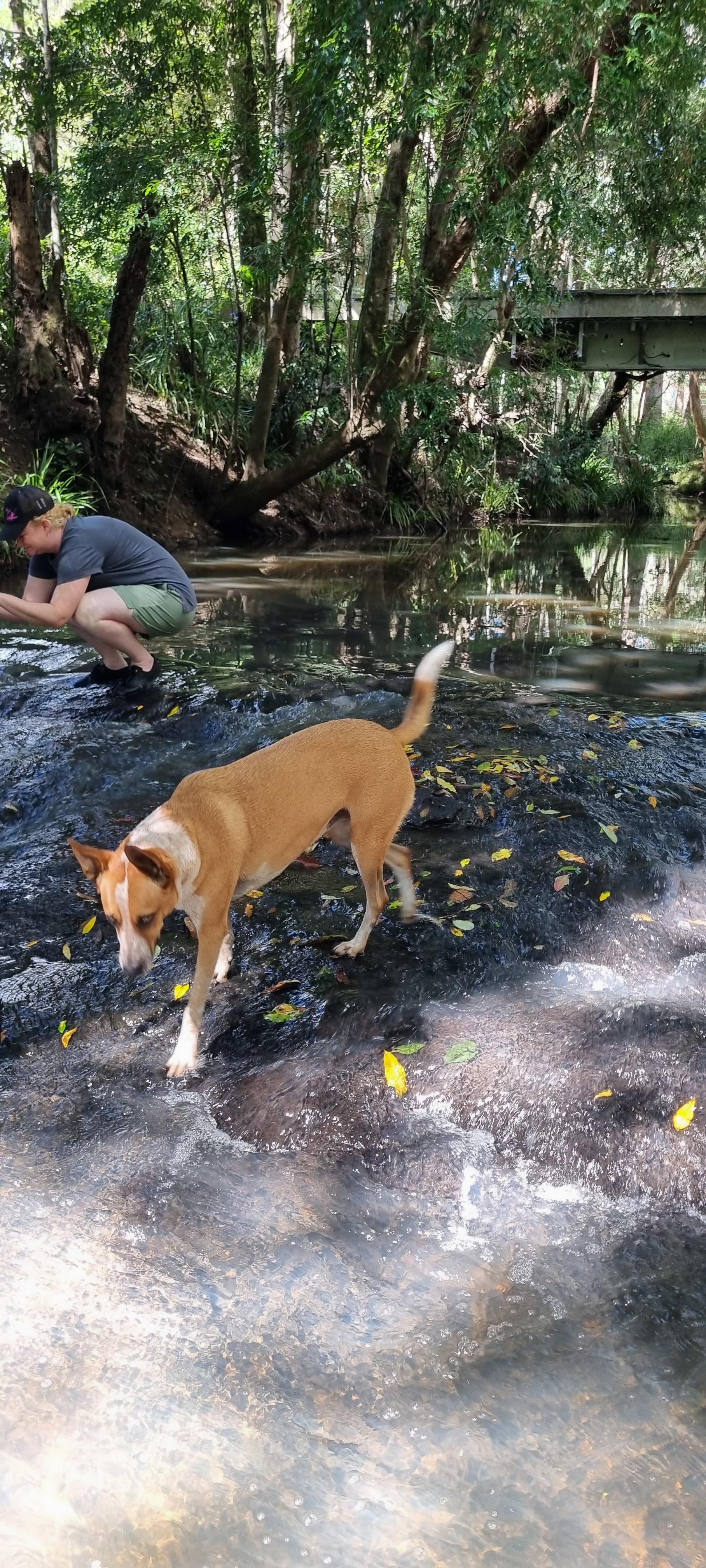 Belli Downs -Whole site to yourself