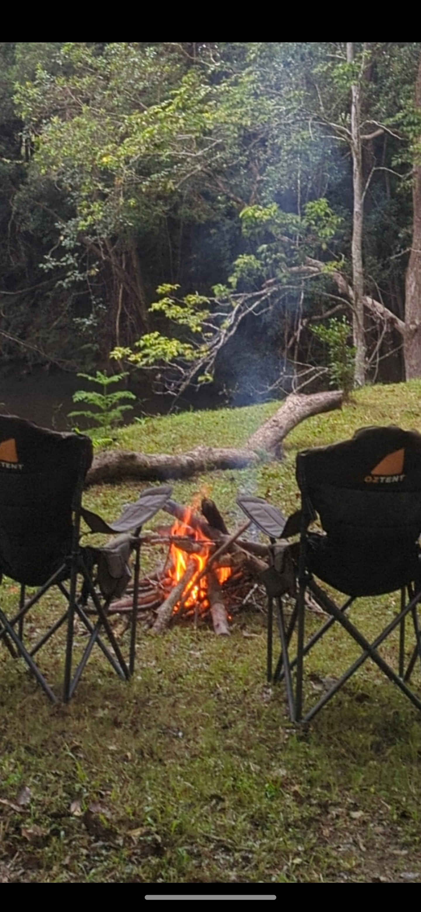 Eagles Nest Hideaway, Pecan Fields