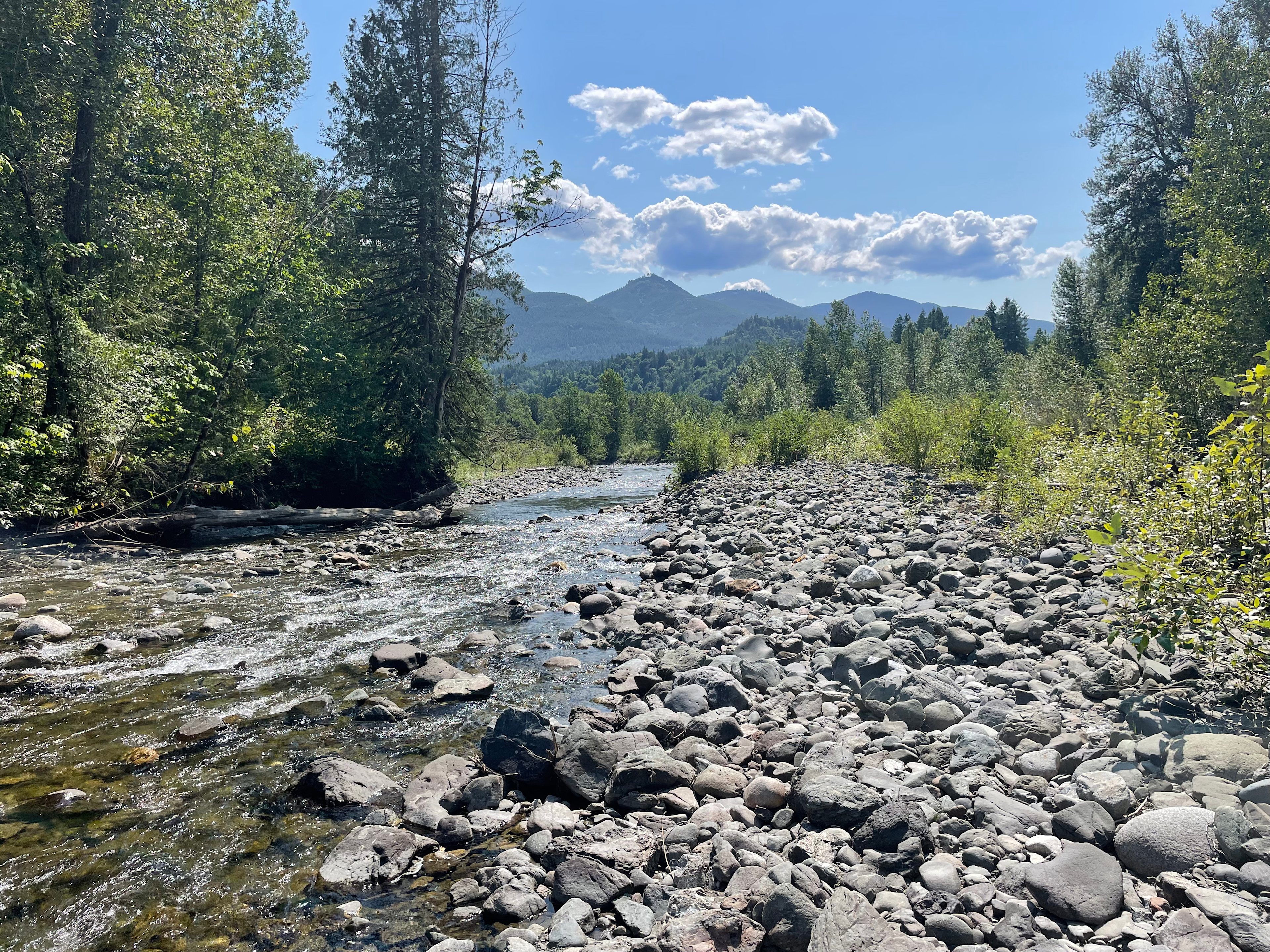 Fall asleep each night to the serene sound of Jackman Creek.