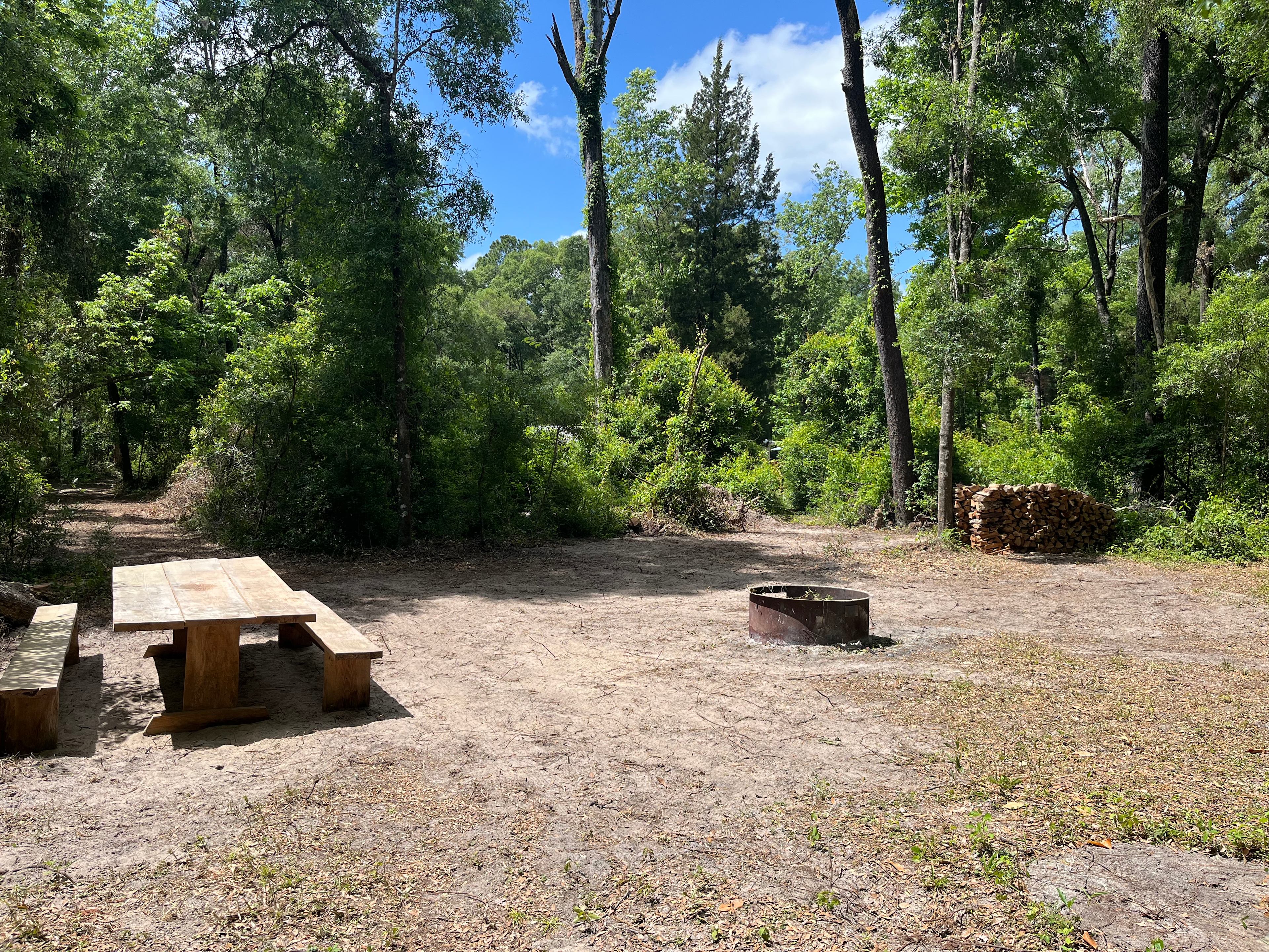 Secluded Wooded Campsite 🏕️