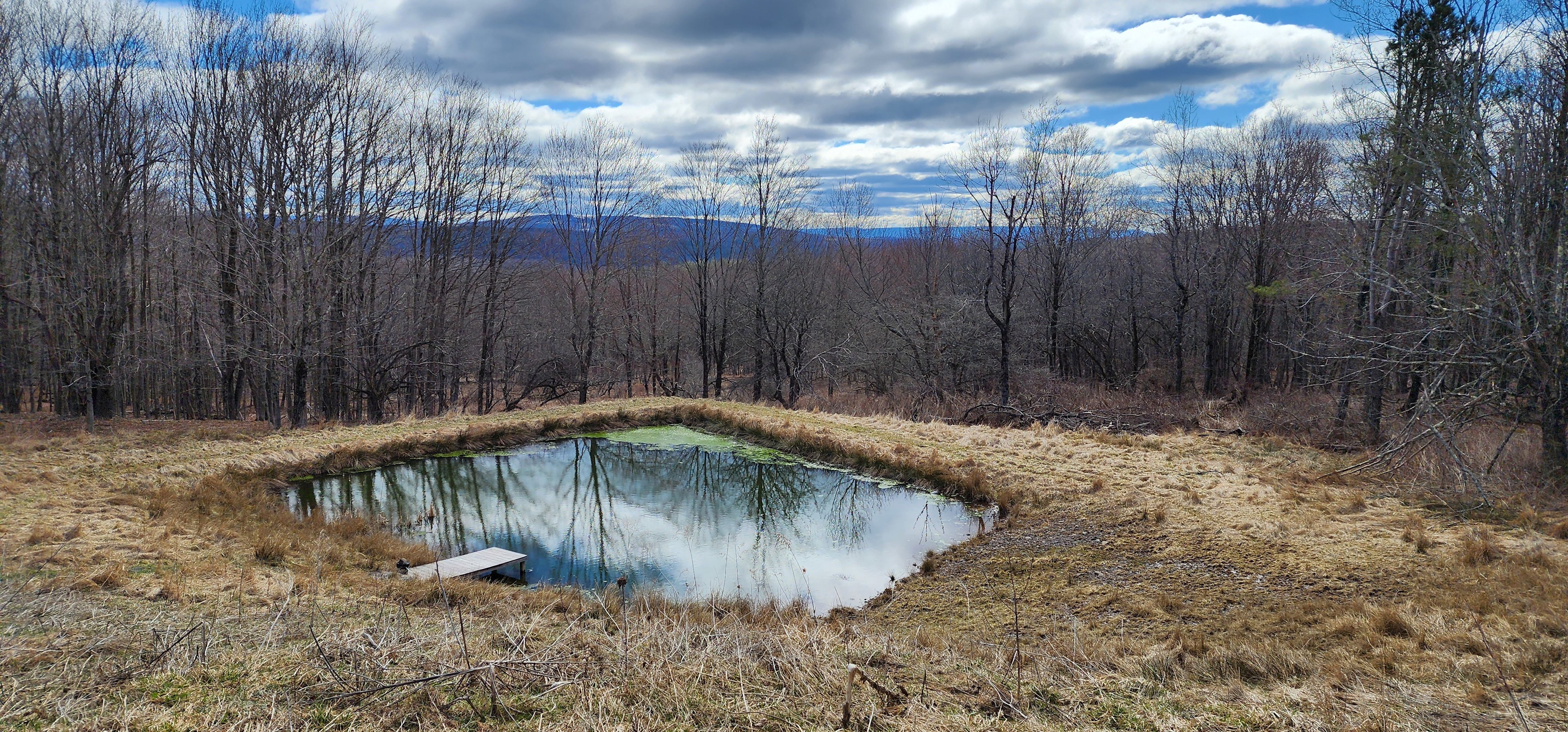 Catskills Mountain View