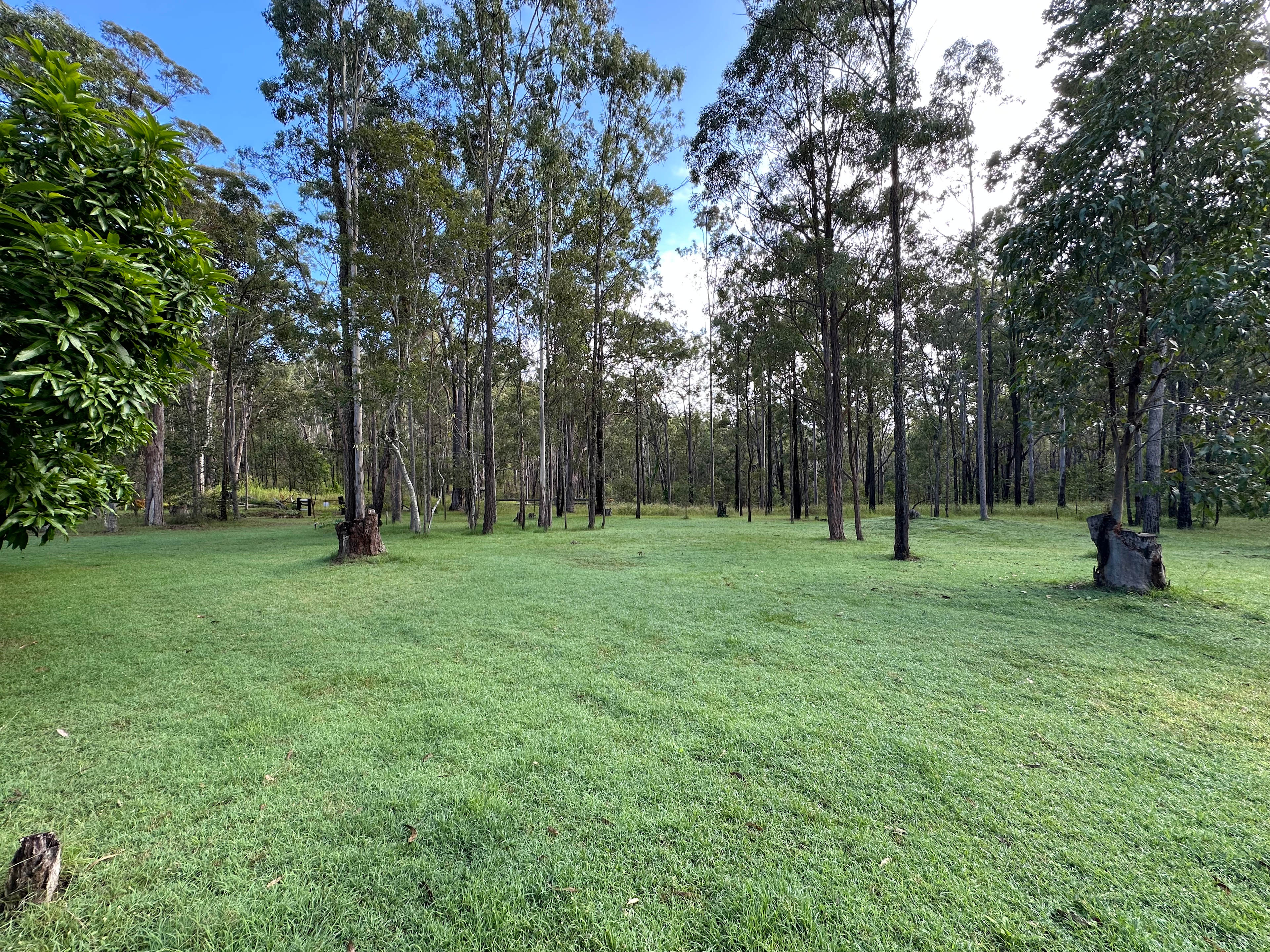 Mookima Wybra Tabulam