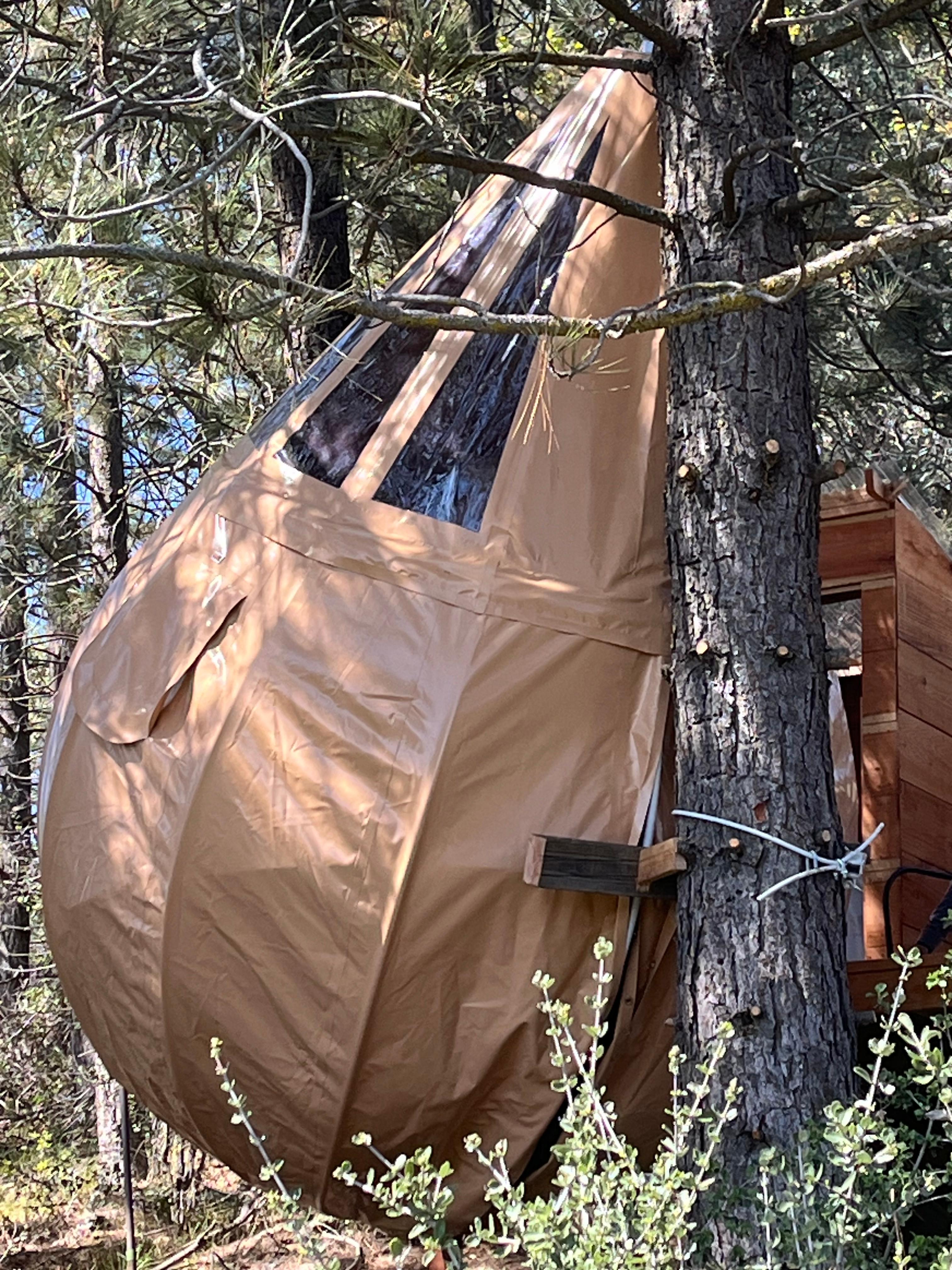 Mike And Di's Retreat- 15 min to NP