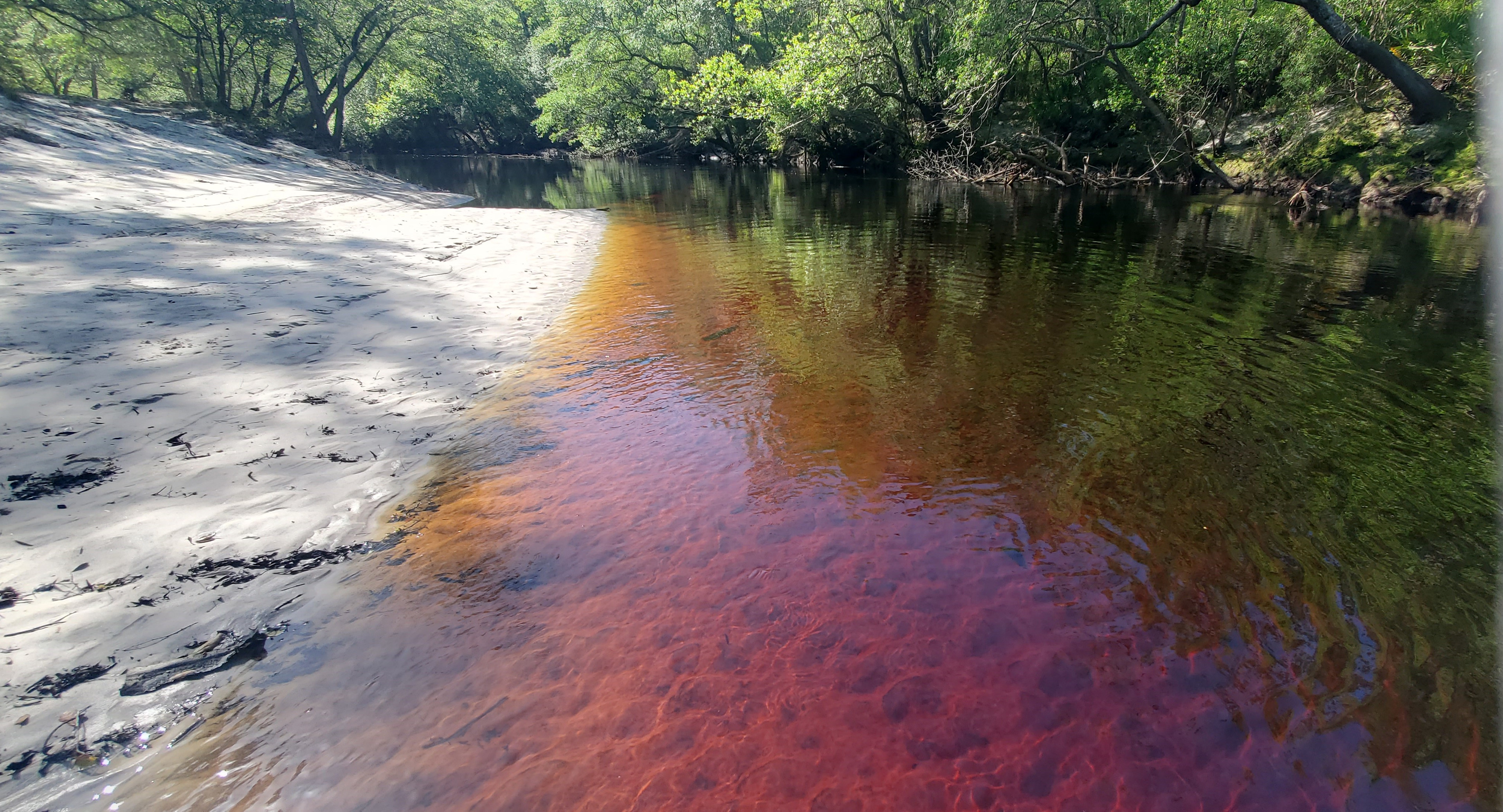The backwaters of the St Marys River