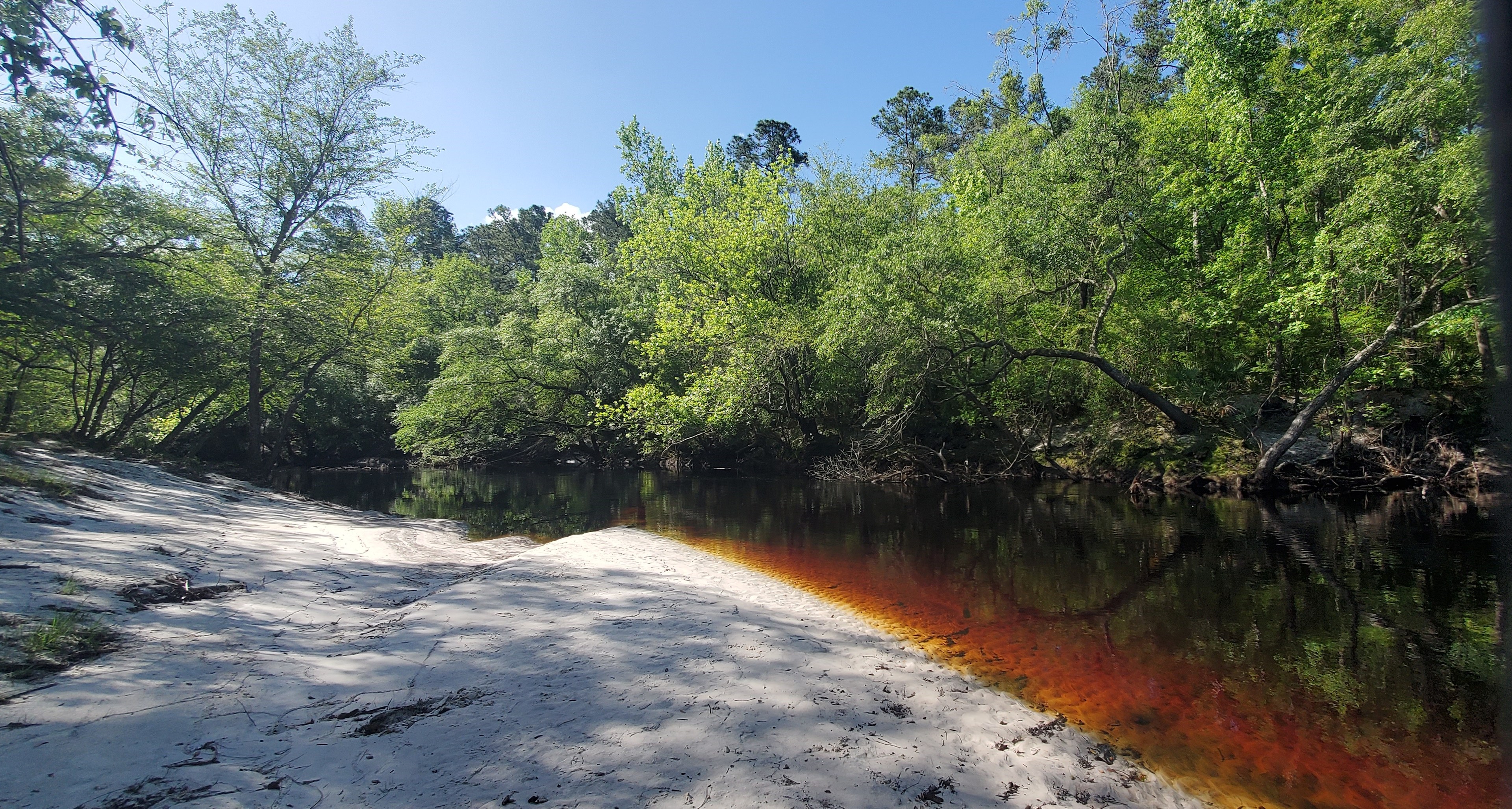 Beach area on the property 