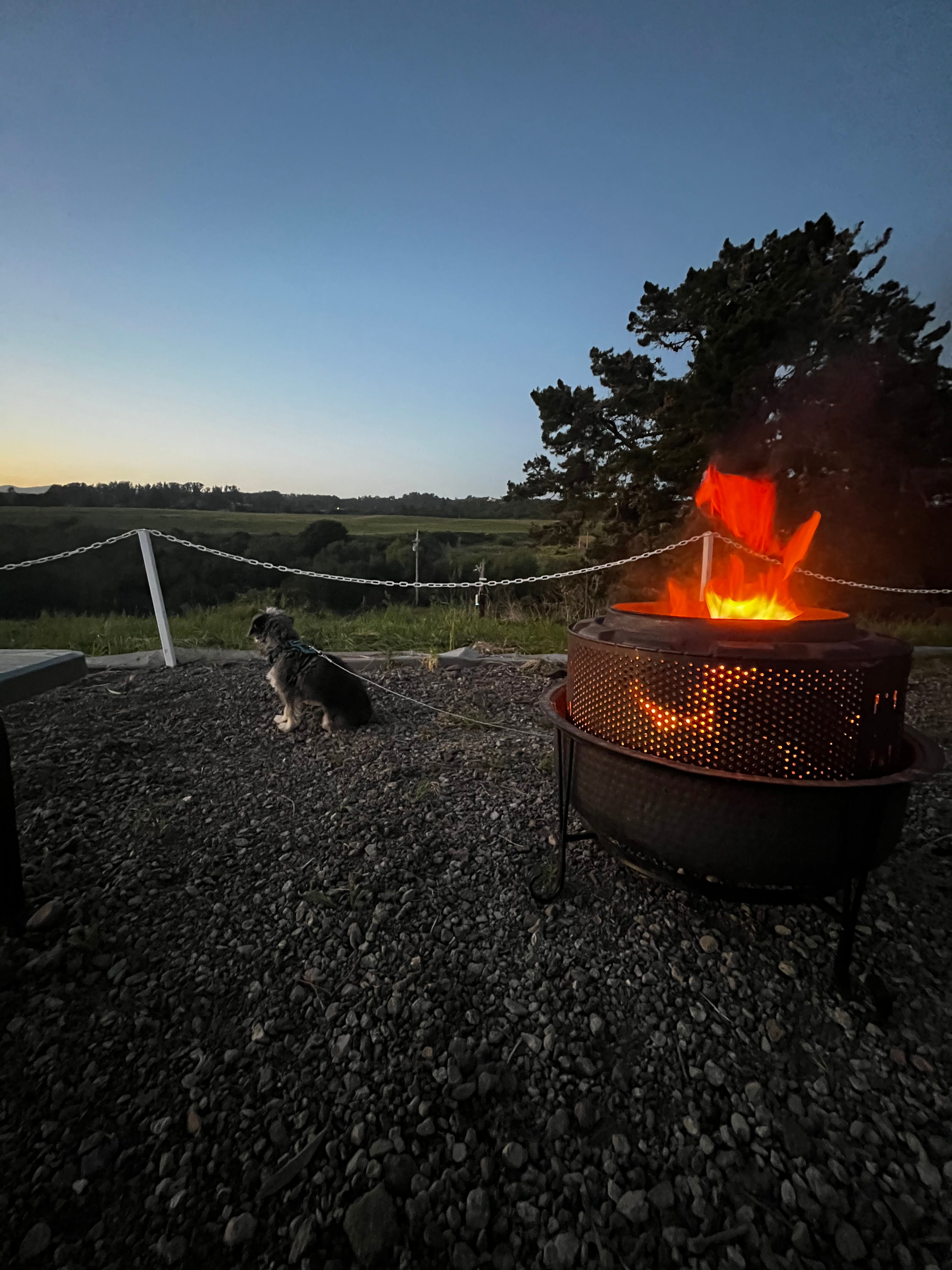 Watching the wildlife. 