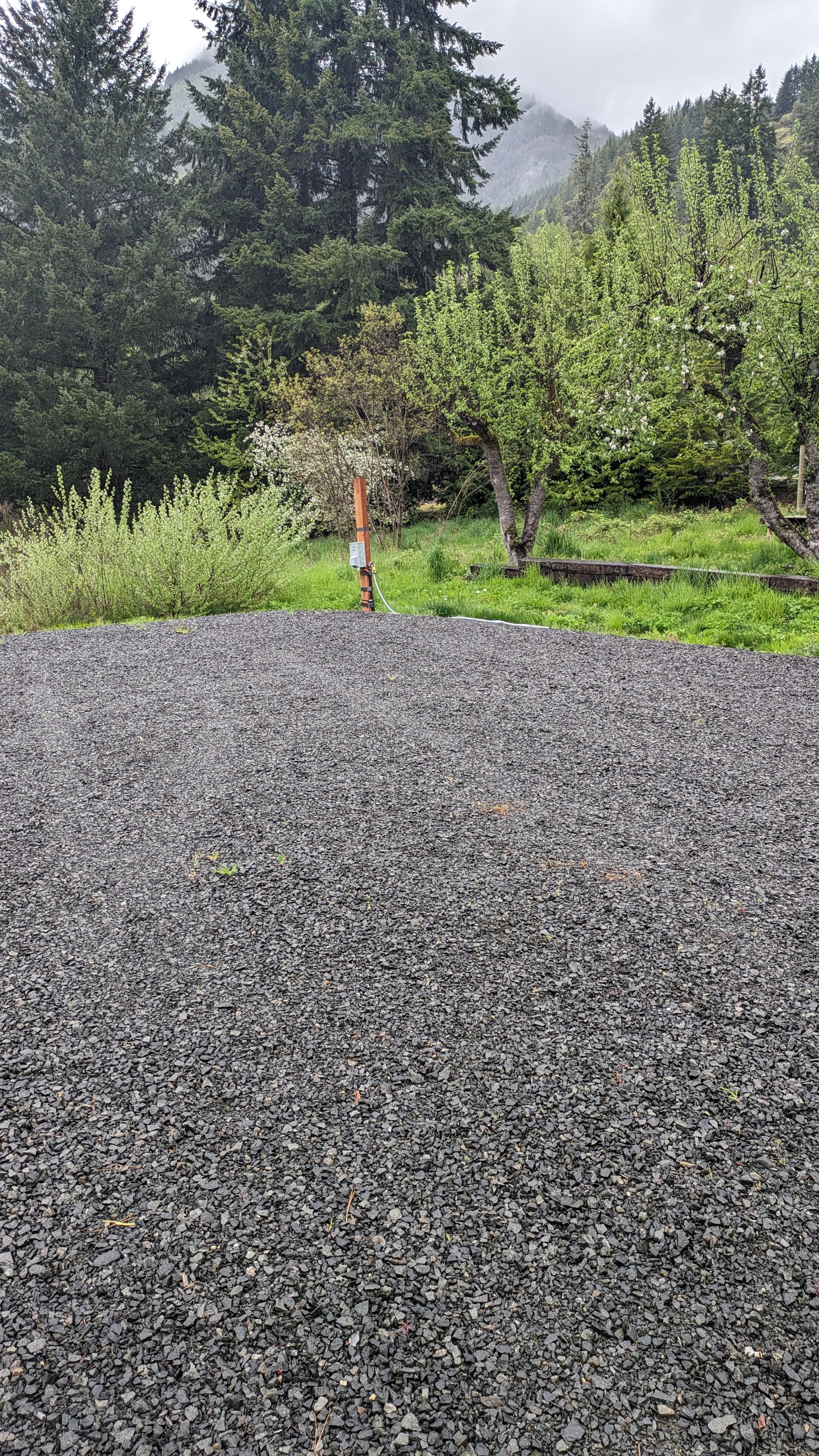 Peter's Creek Camping Experience