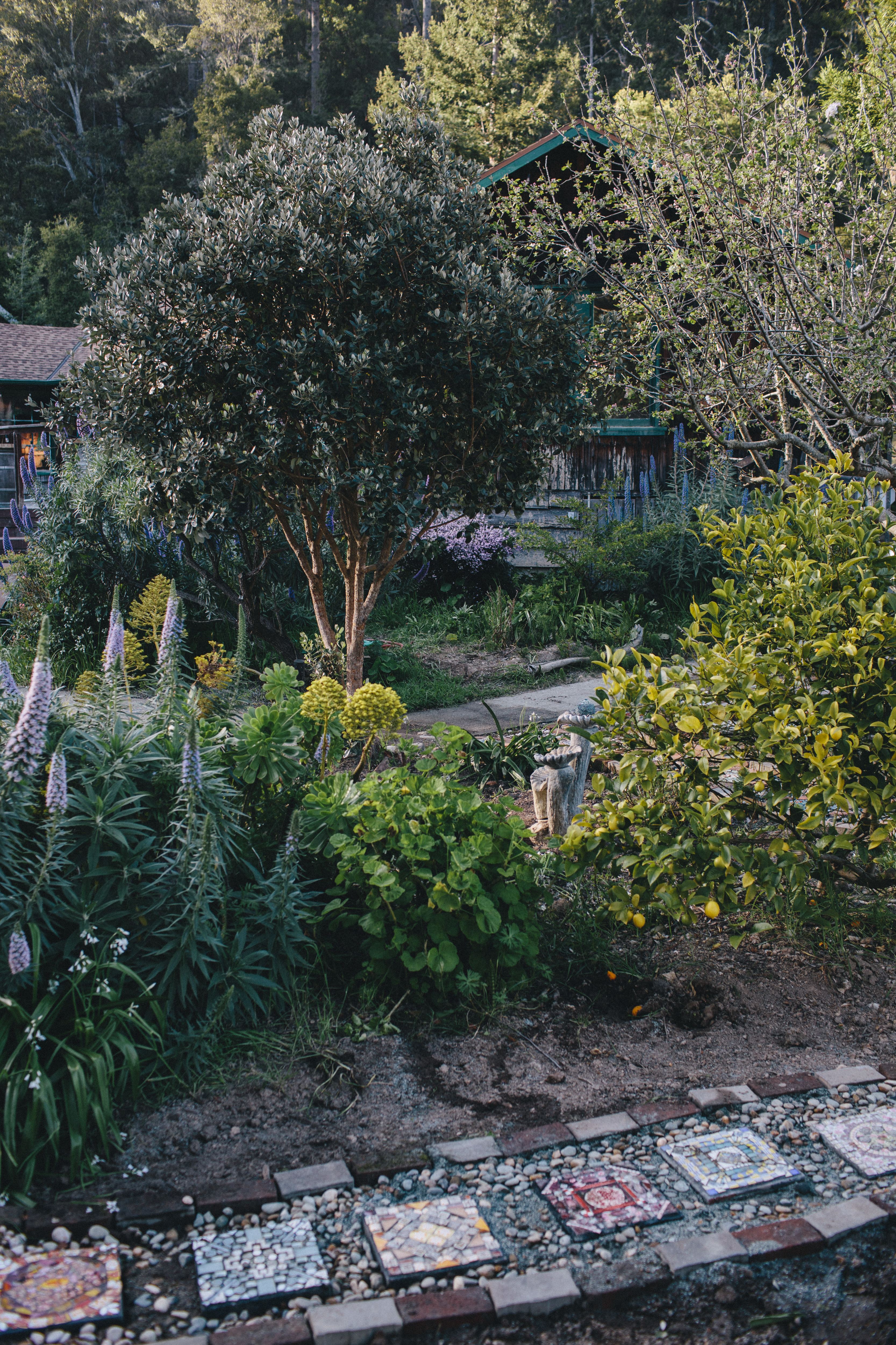 Venture Retreat | Forest Sanctuary