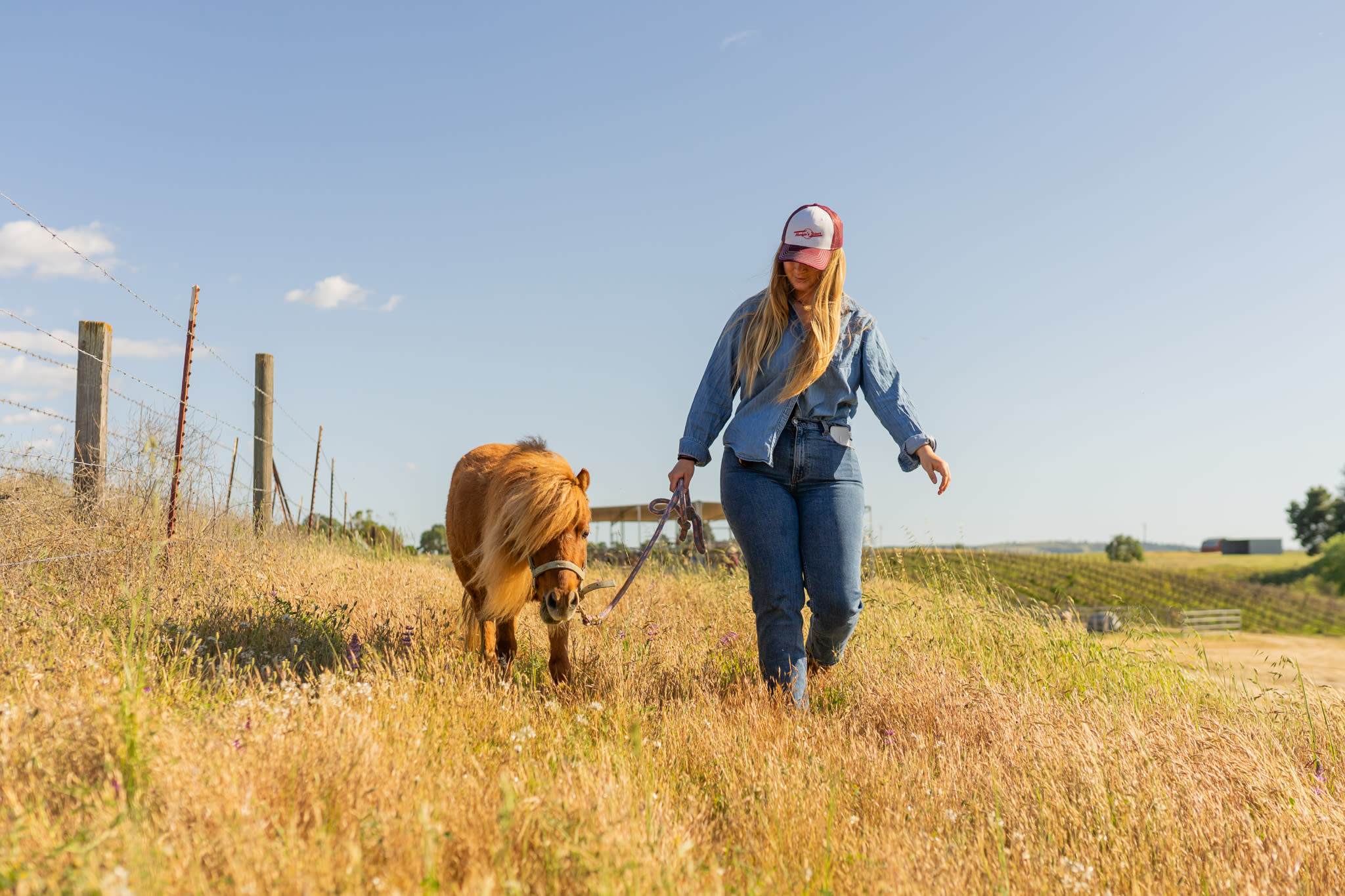 Take one of the ponies on a walk!