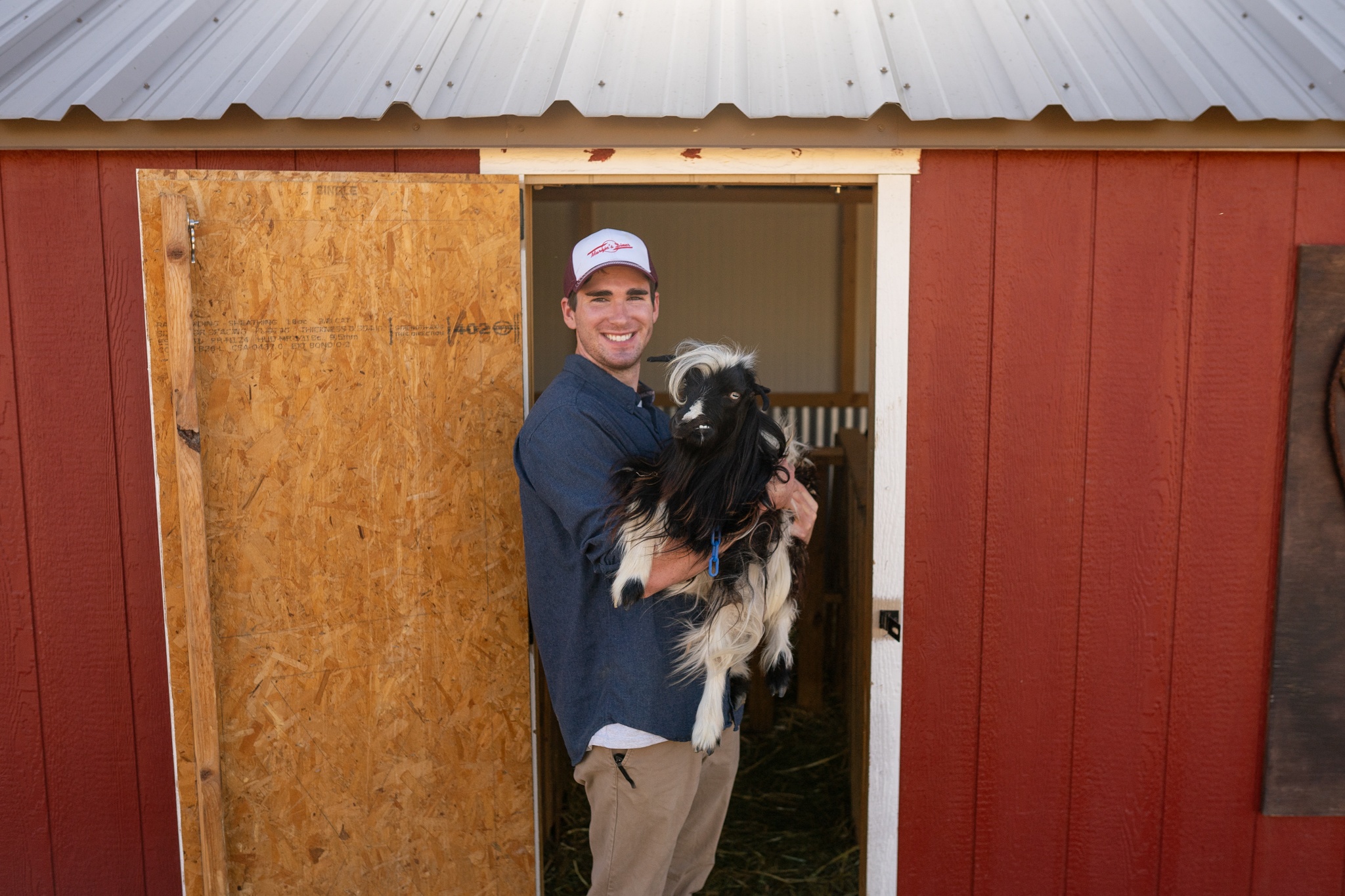 Cuddly goat!