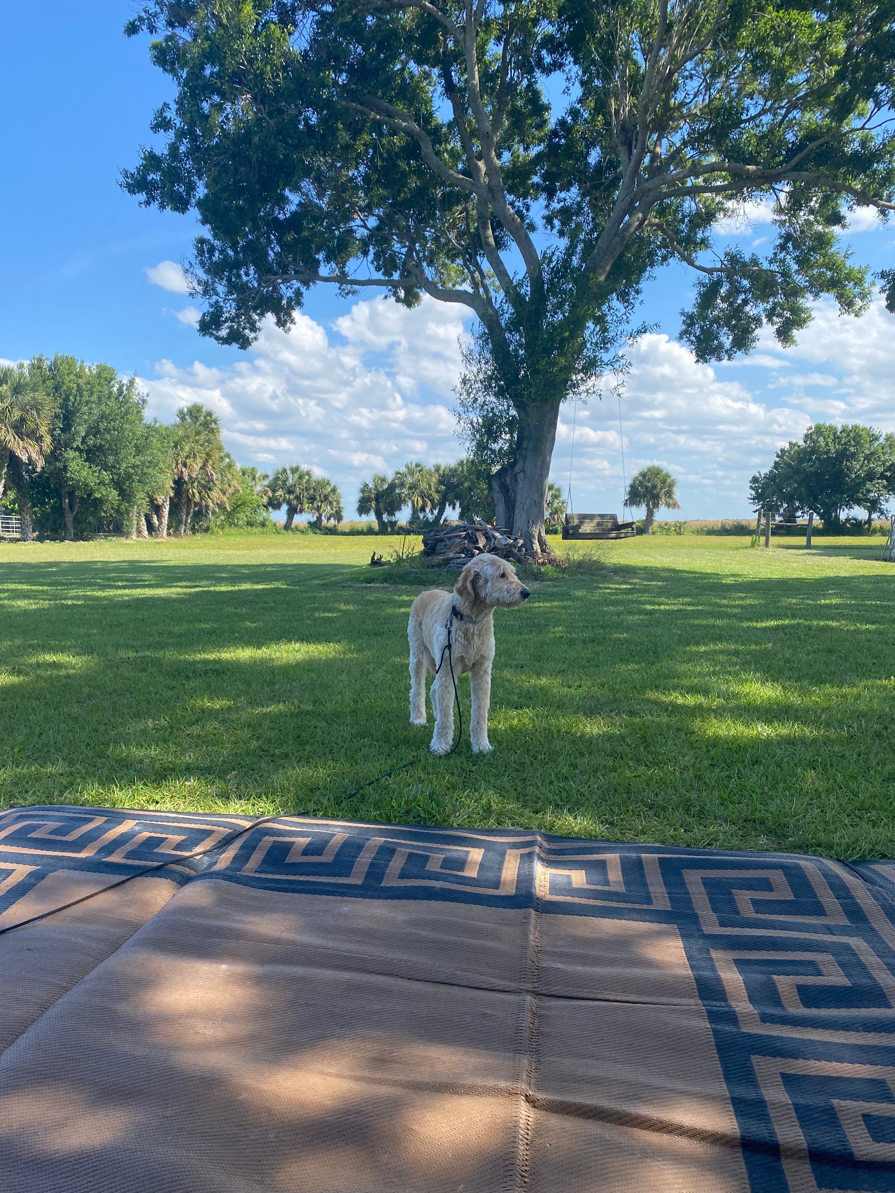 Melissa’s Peaceful Place