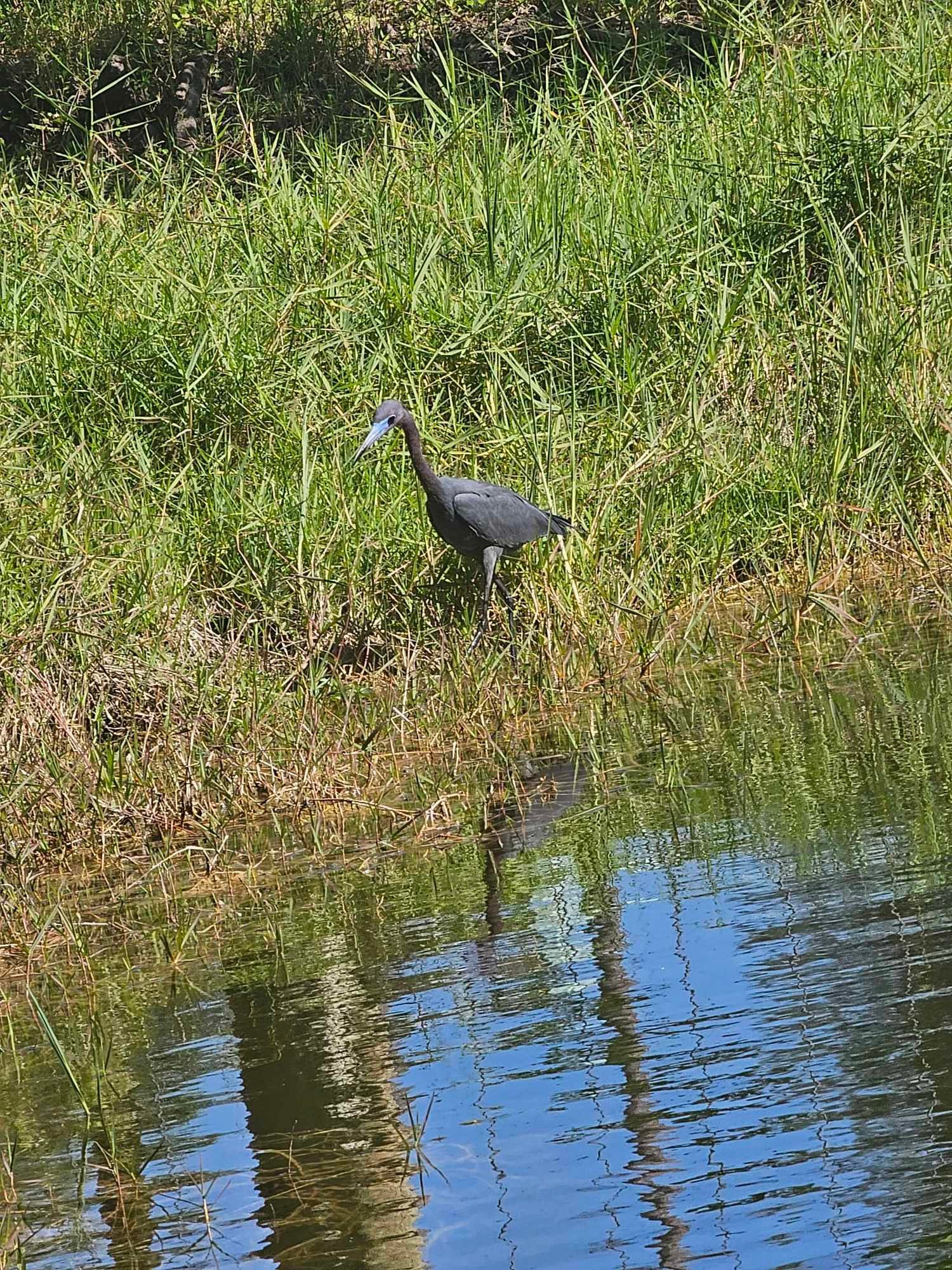 Serenity Star - Sauna Cold Plunge