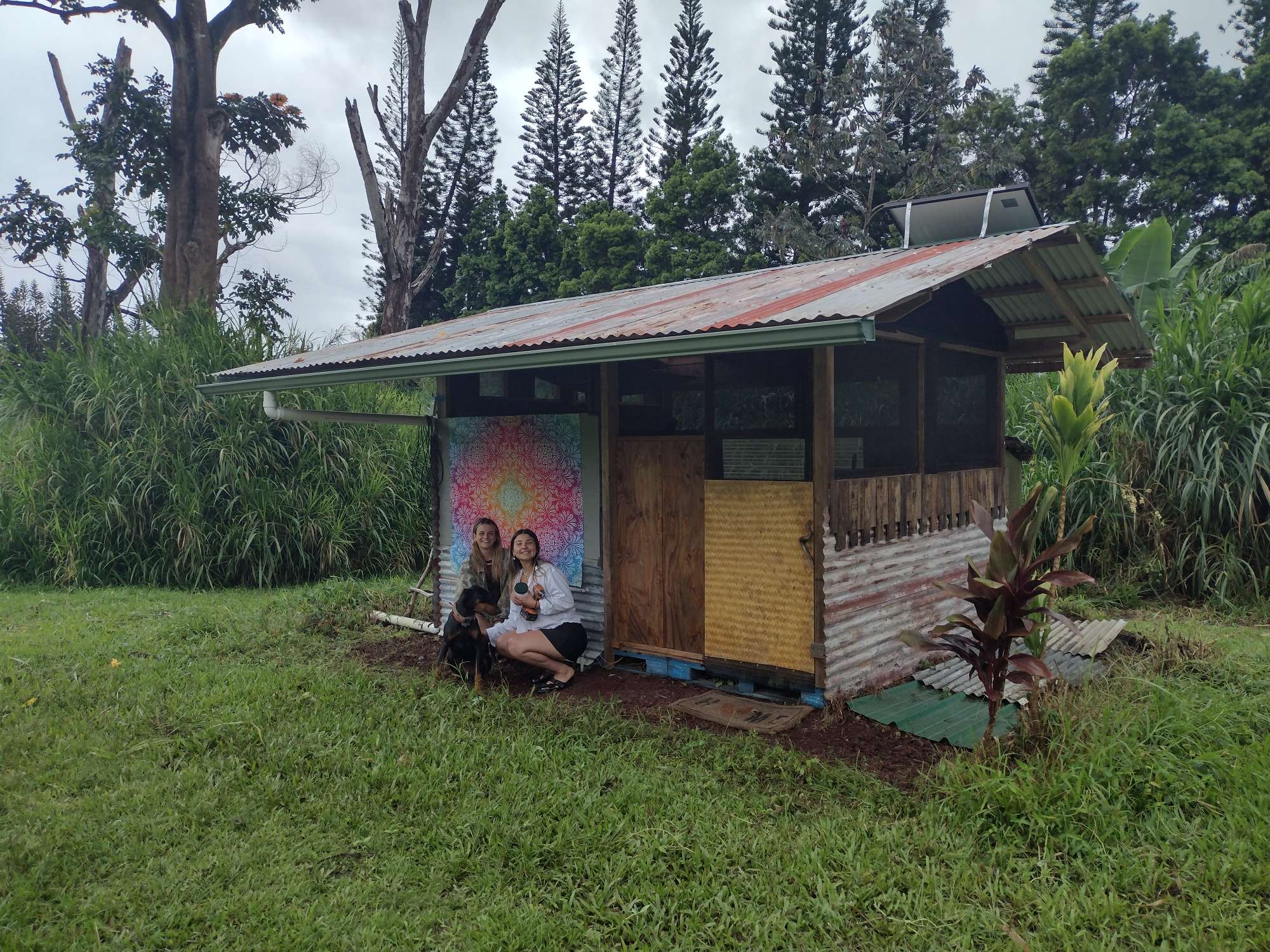 Hawaiian Off-Grid Oasis