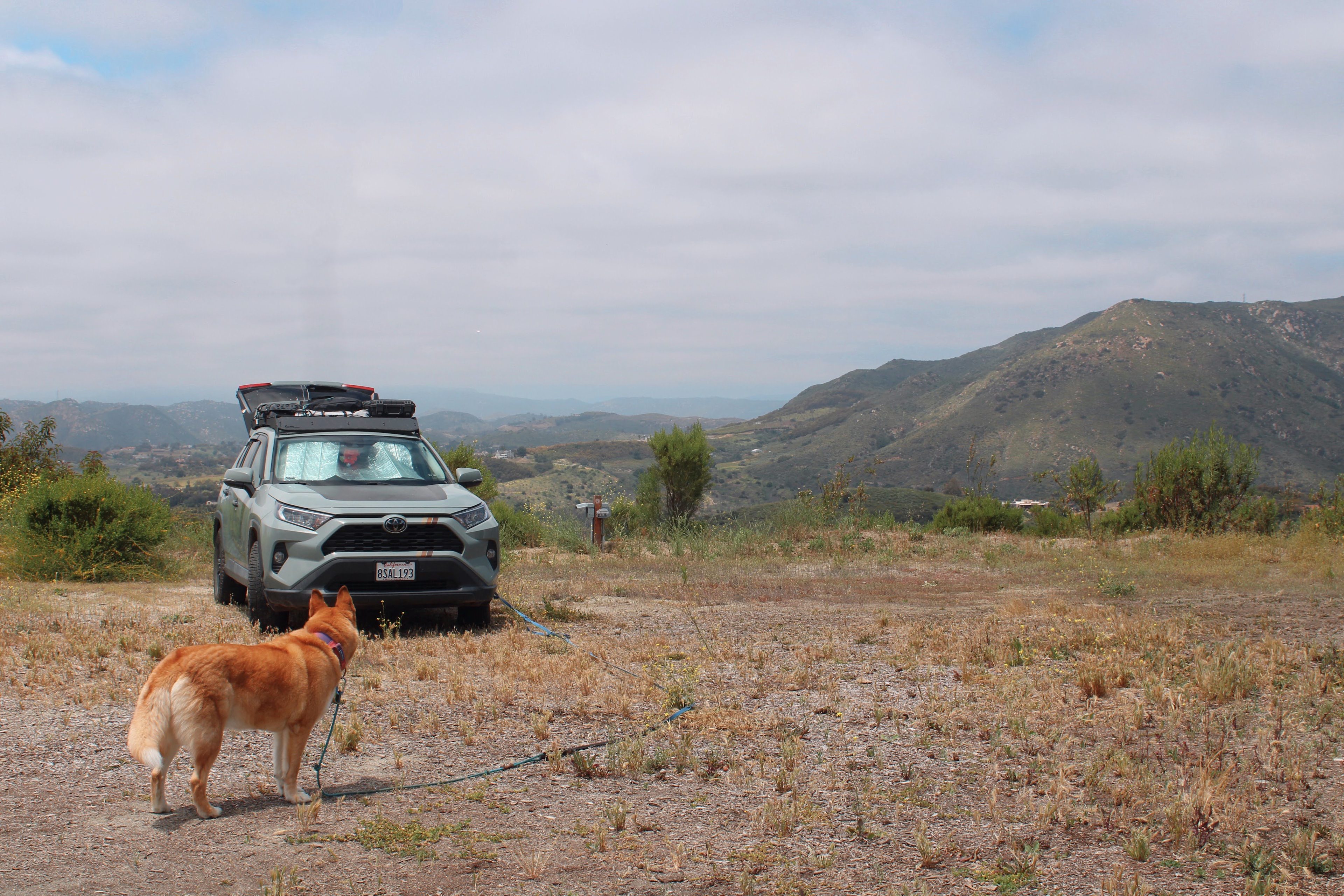 Landscape/Site Overview: Very flat and perfect for an RV pullup. Tent camping is also an option!