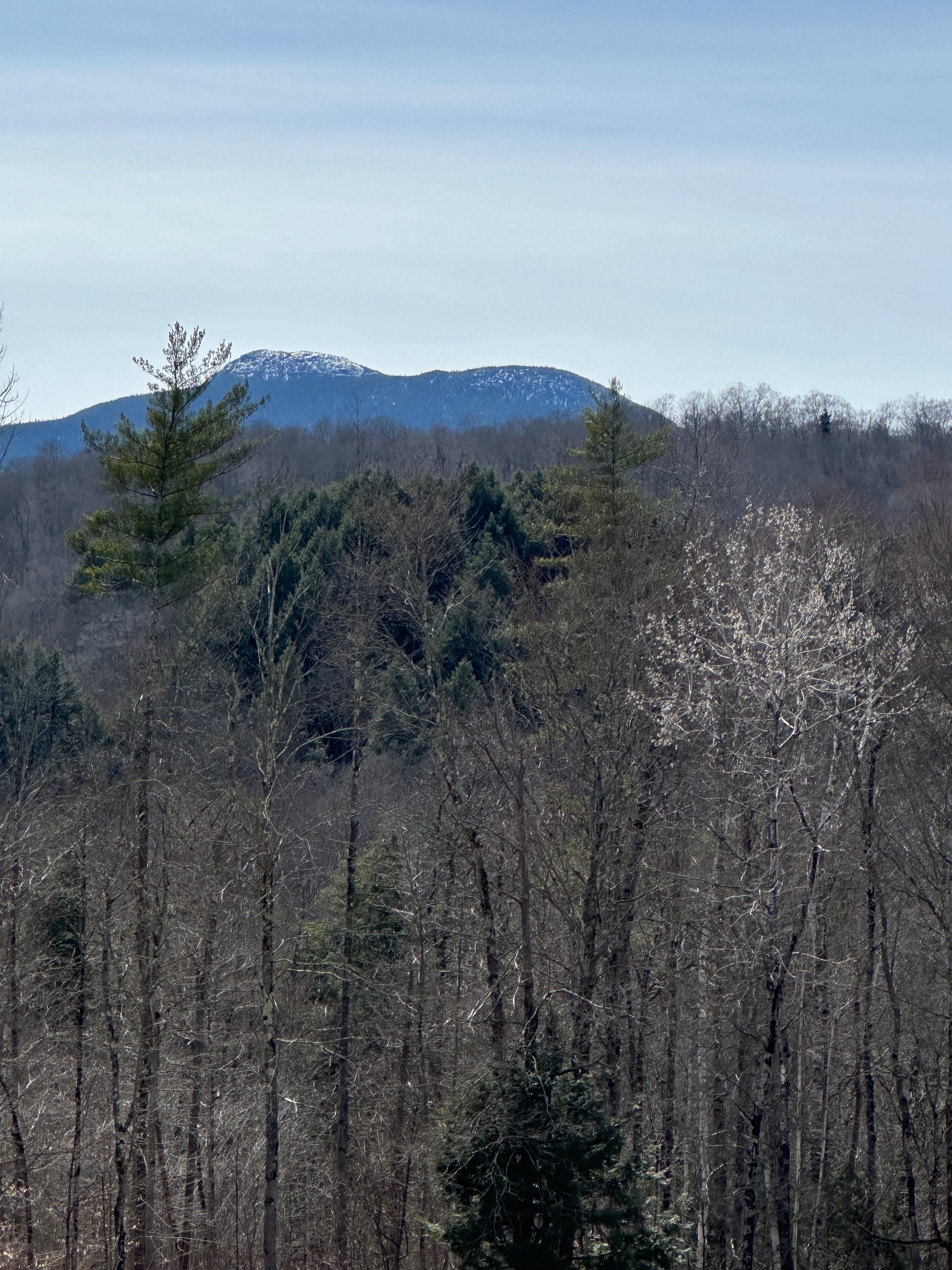 Stargaze Over Camels Hump