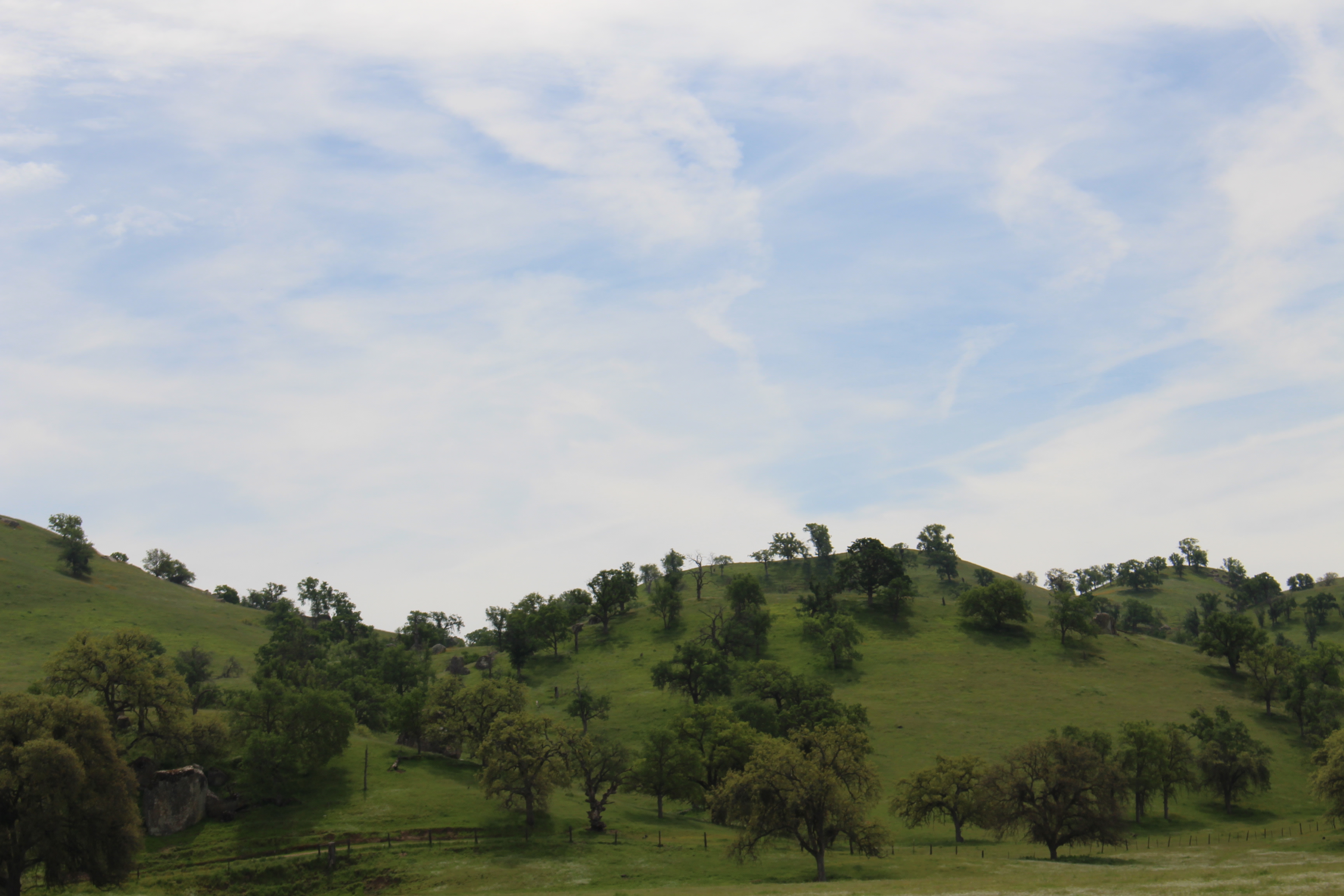 Oak Glenn * California Hot Springs