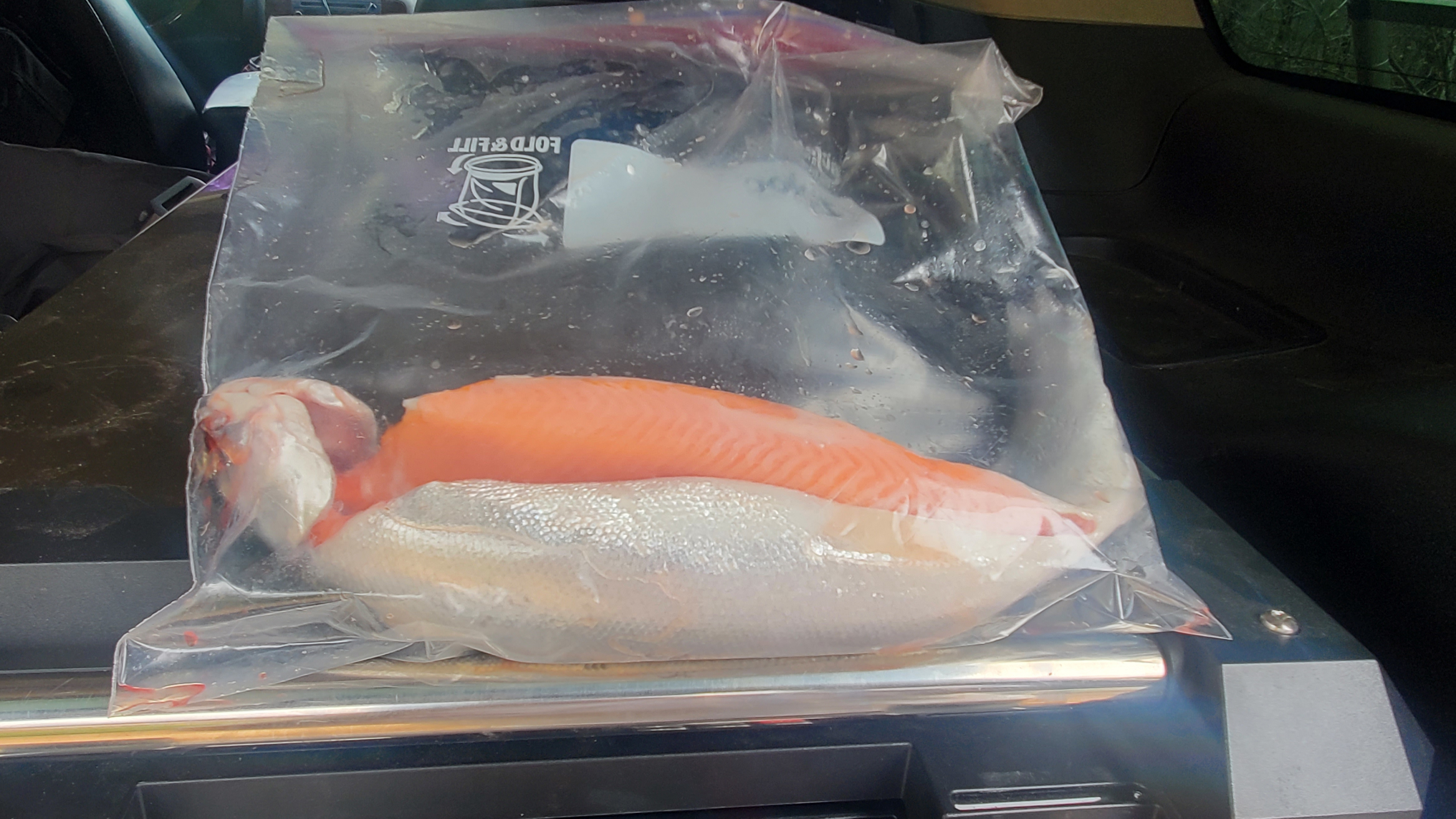 Musick Creek Falls  by Shaver Lake