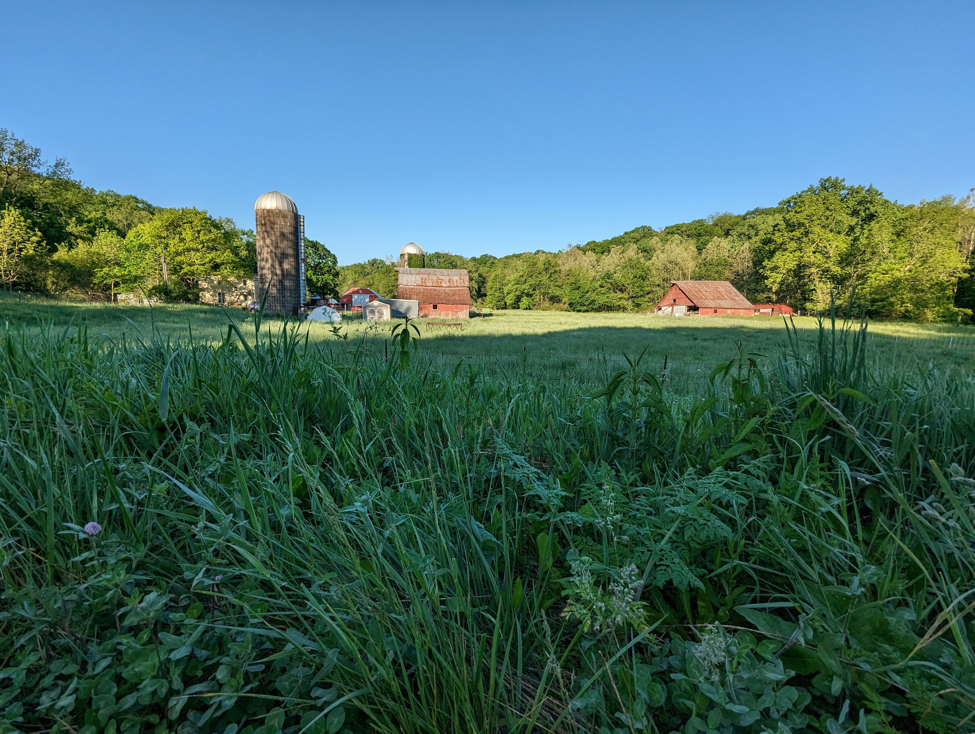 Glamping+Goats+Gardens 175Acre Farm