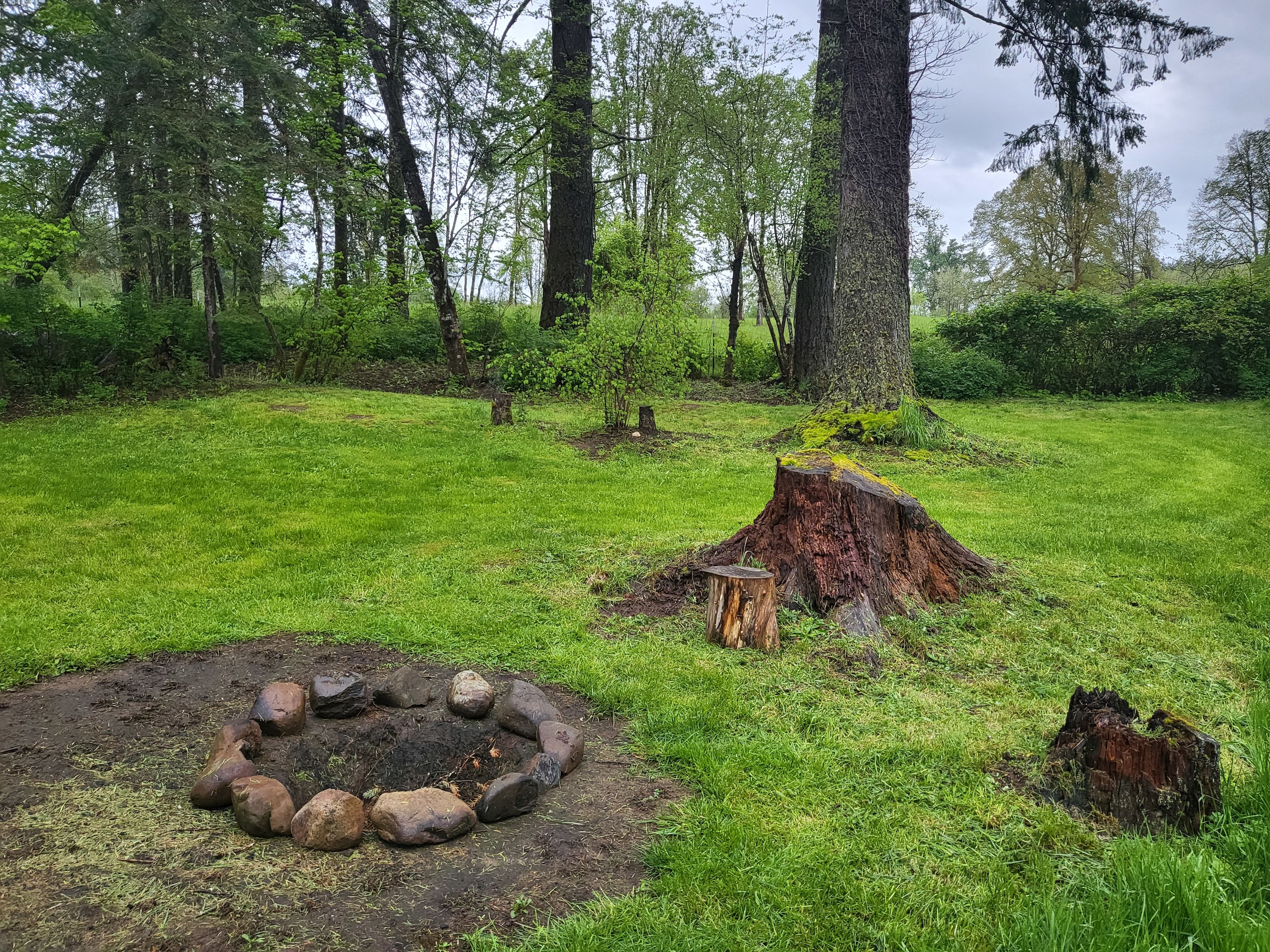 River Mountain Meadow