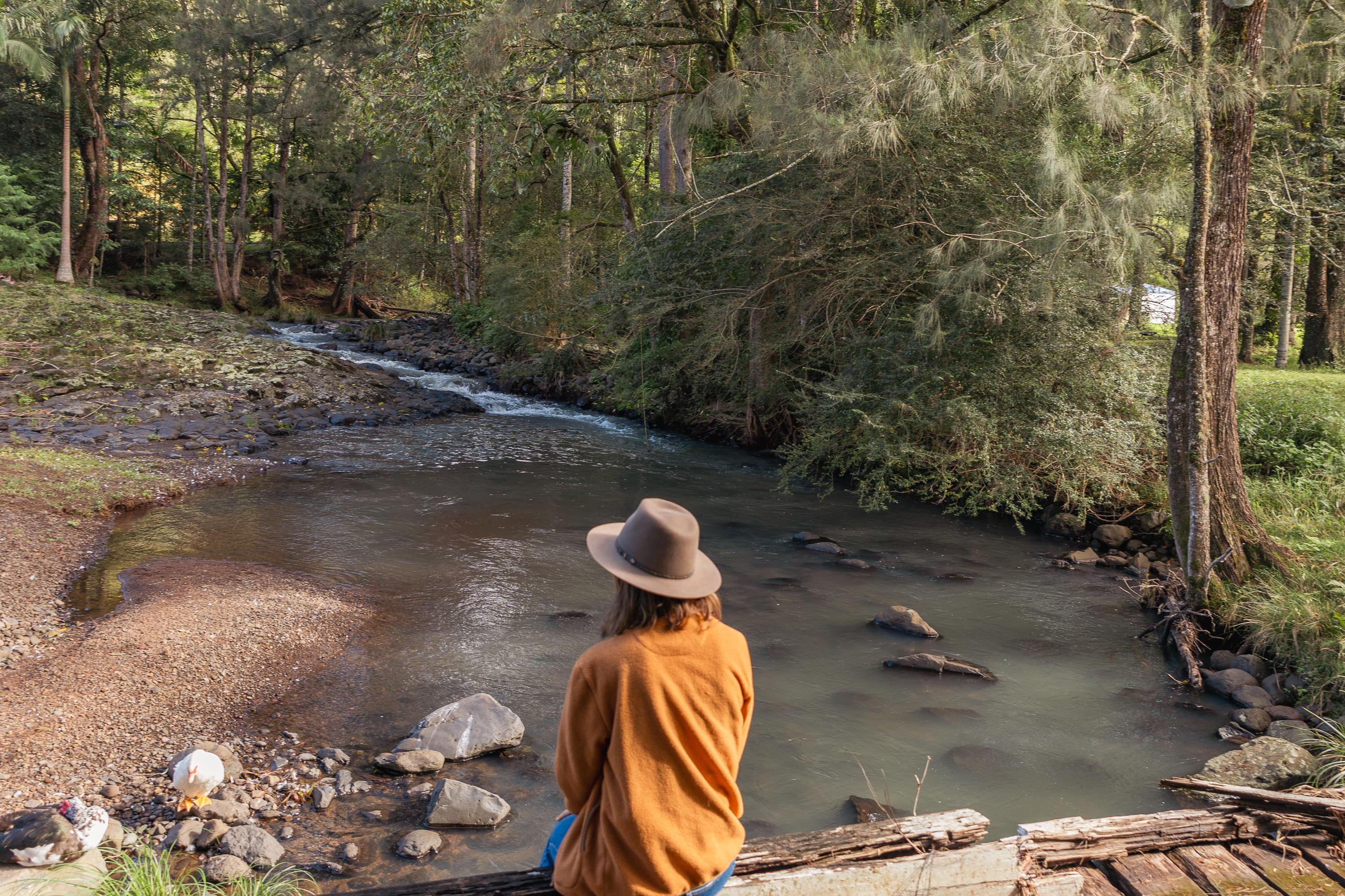 Sitting with the ducks
