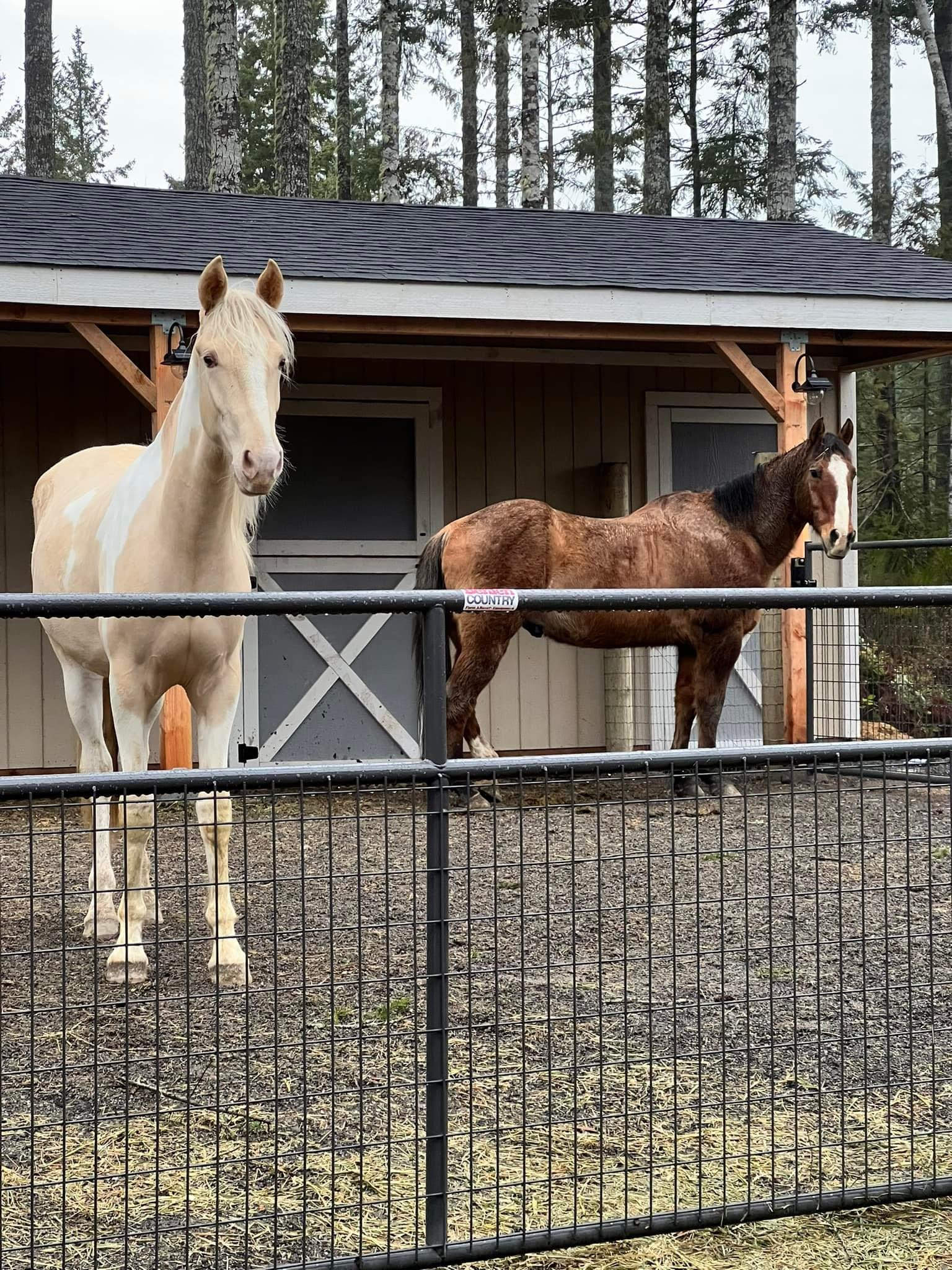 Rainfall Ranch Rescue - 16 Acres