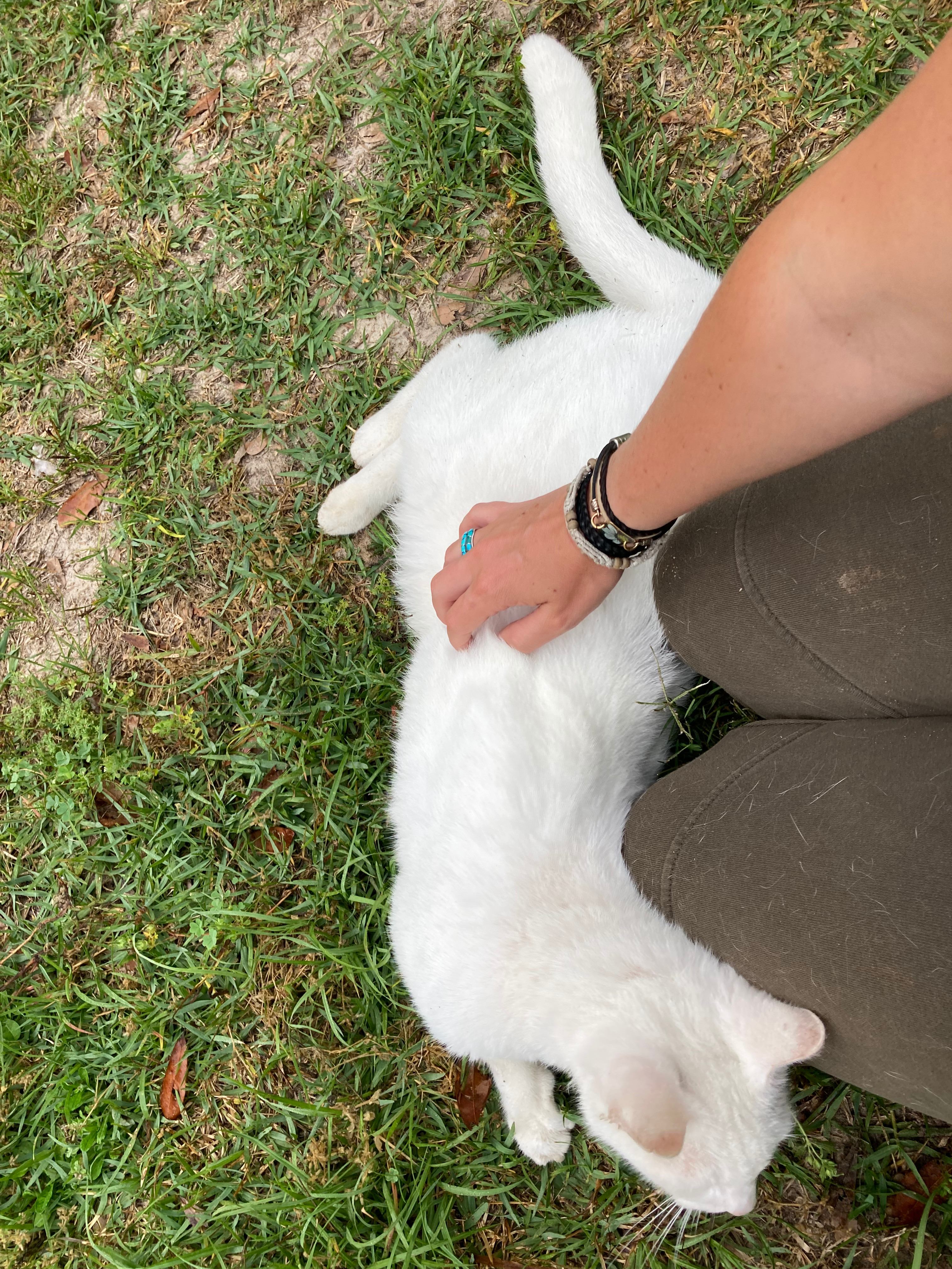 PYRAprotocol.com  Camping the Amite