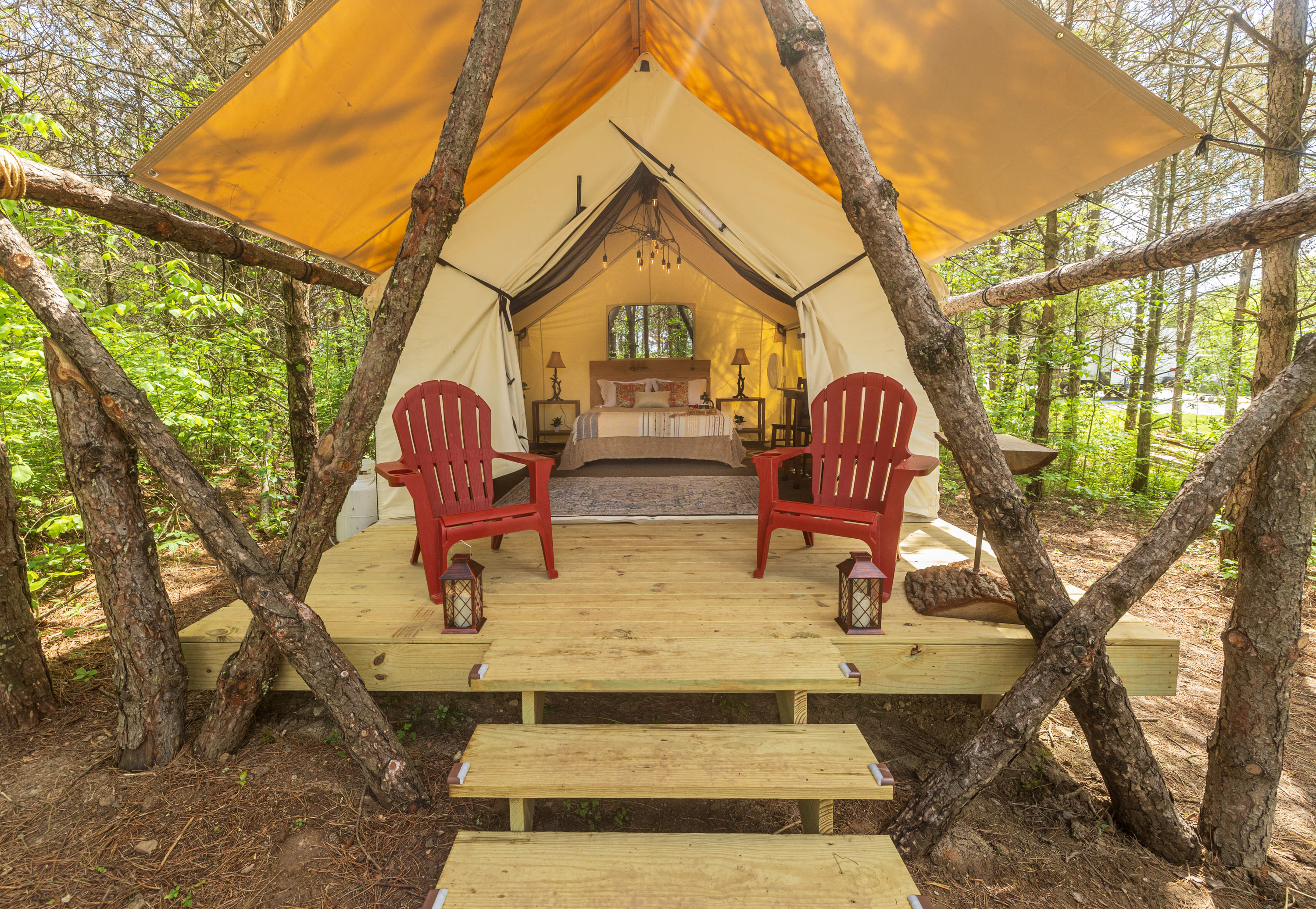 The Wild Pines Of Ohio