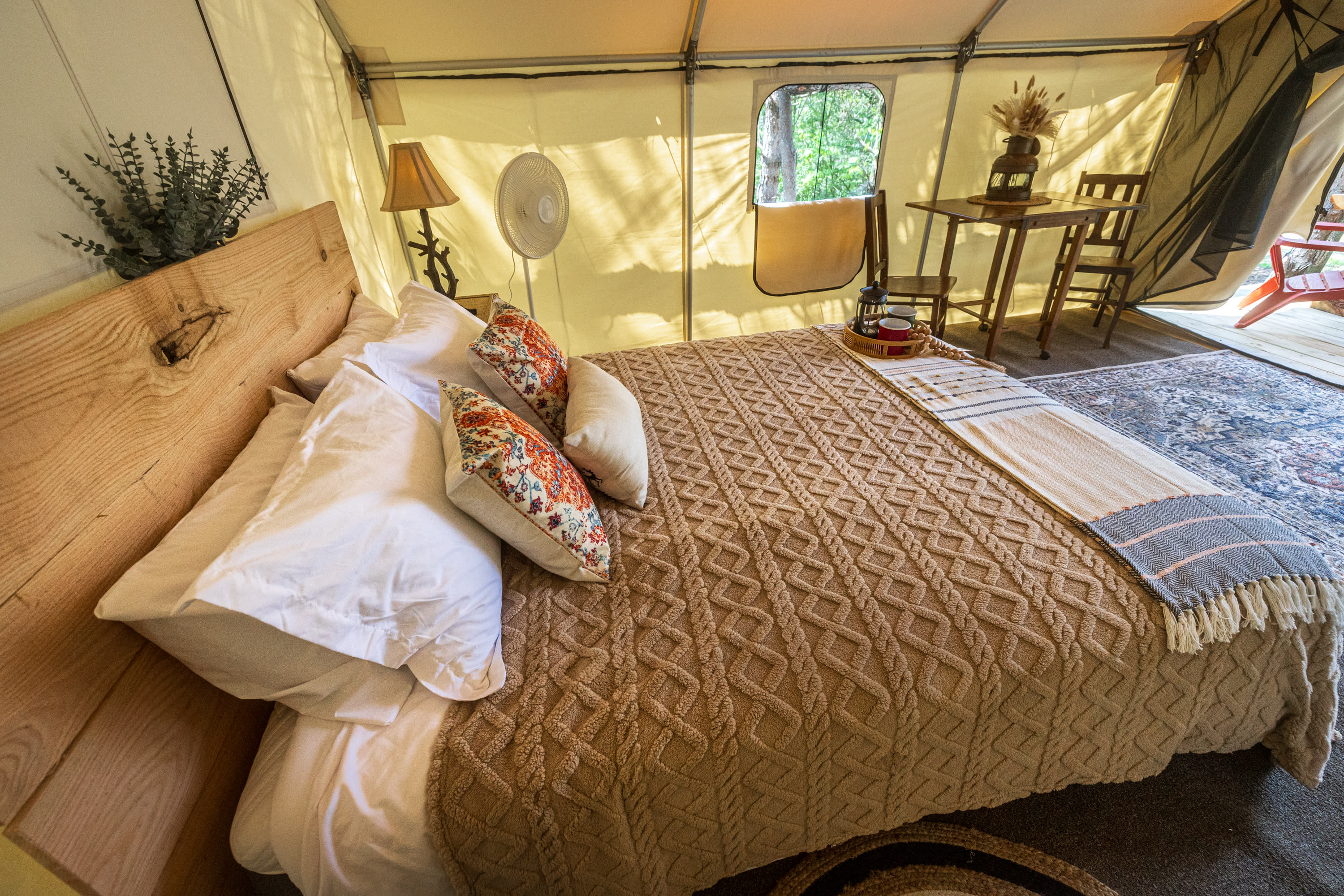 The Wild Pines Of Ohio