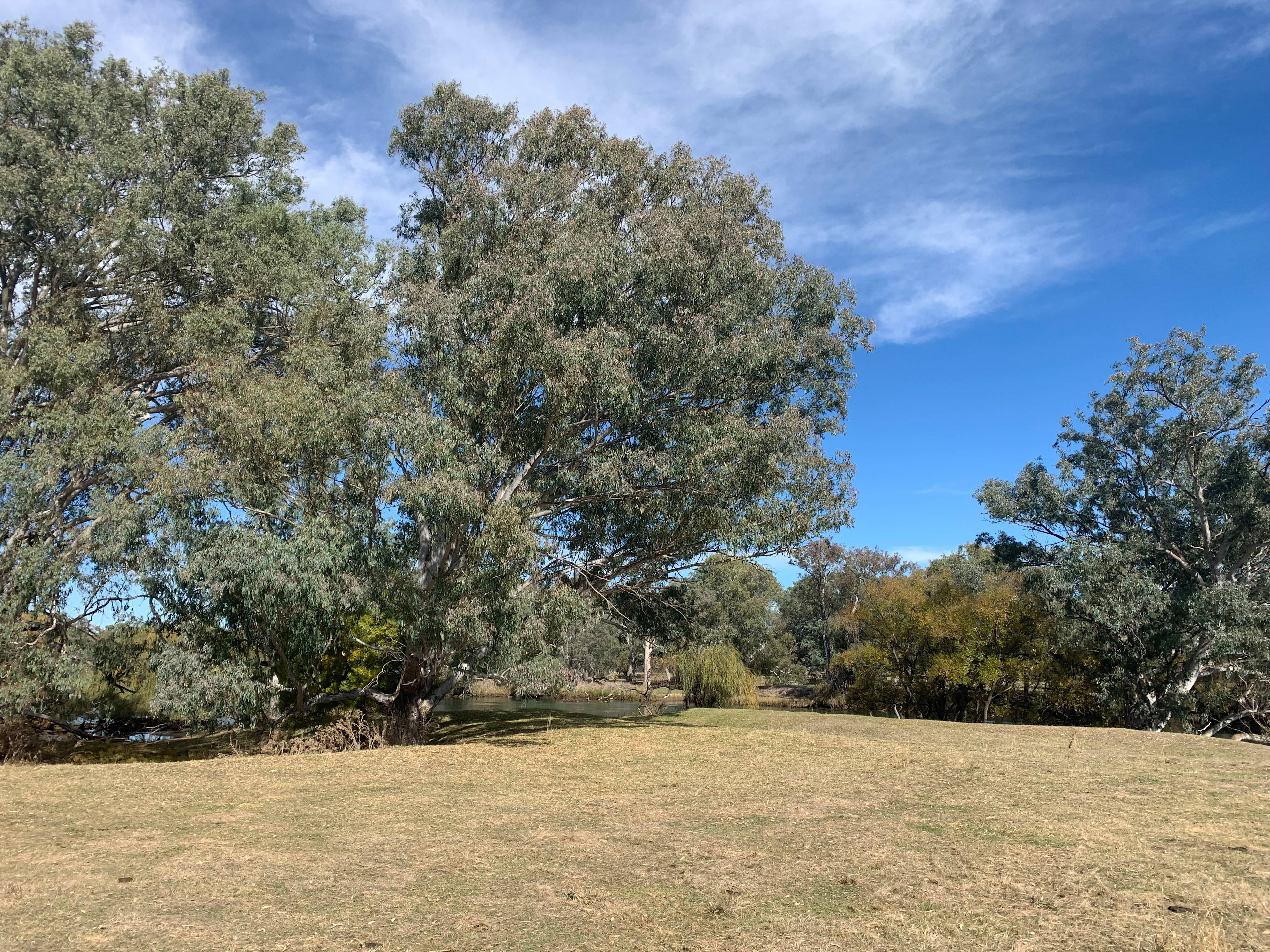 Rolling Hills & Riverside Camping