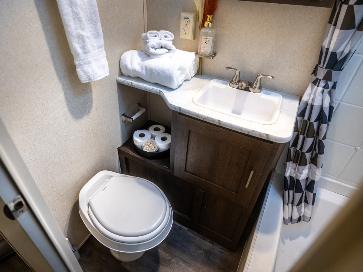 The Wild Pines Of Ohio