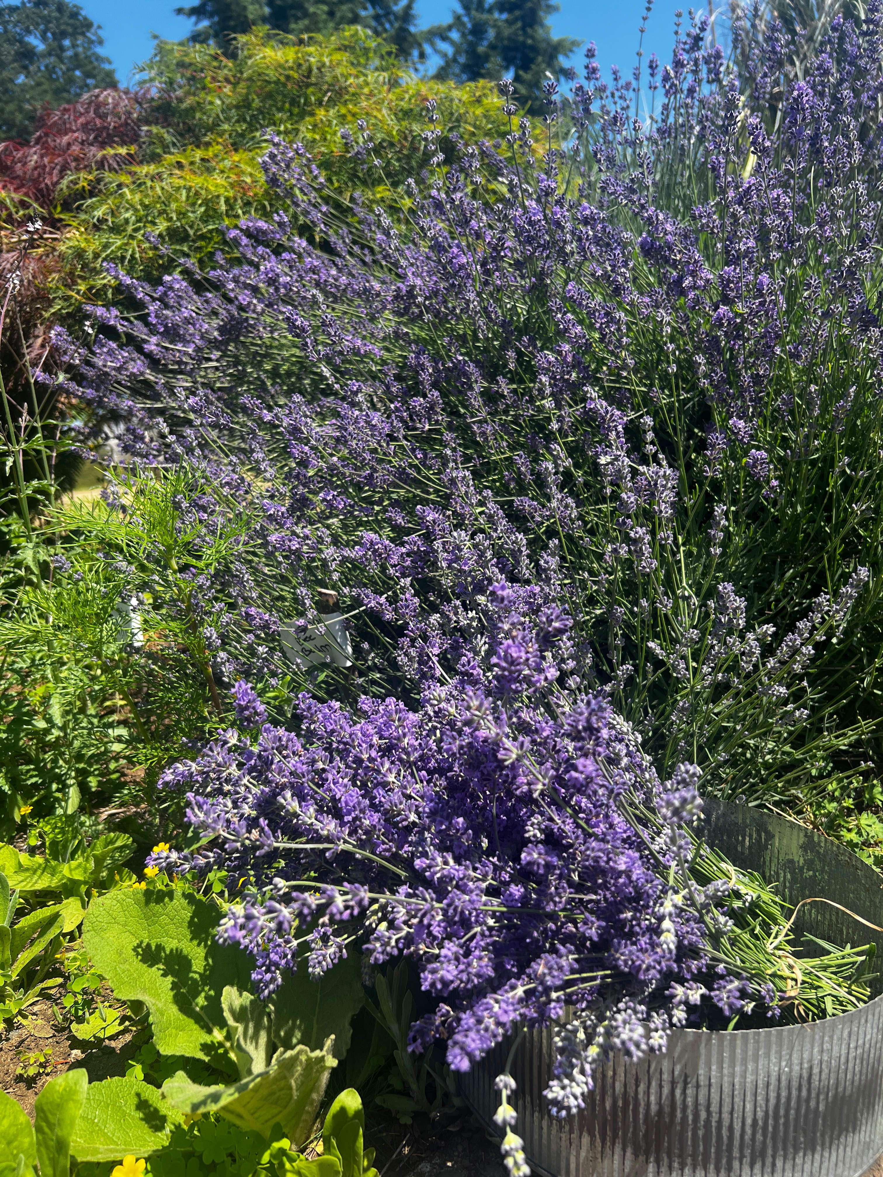 Homestead By Estacada Lake