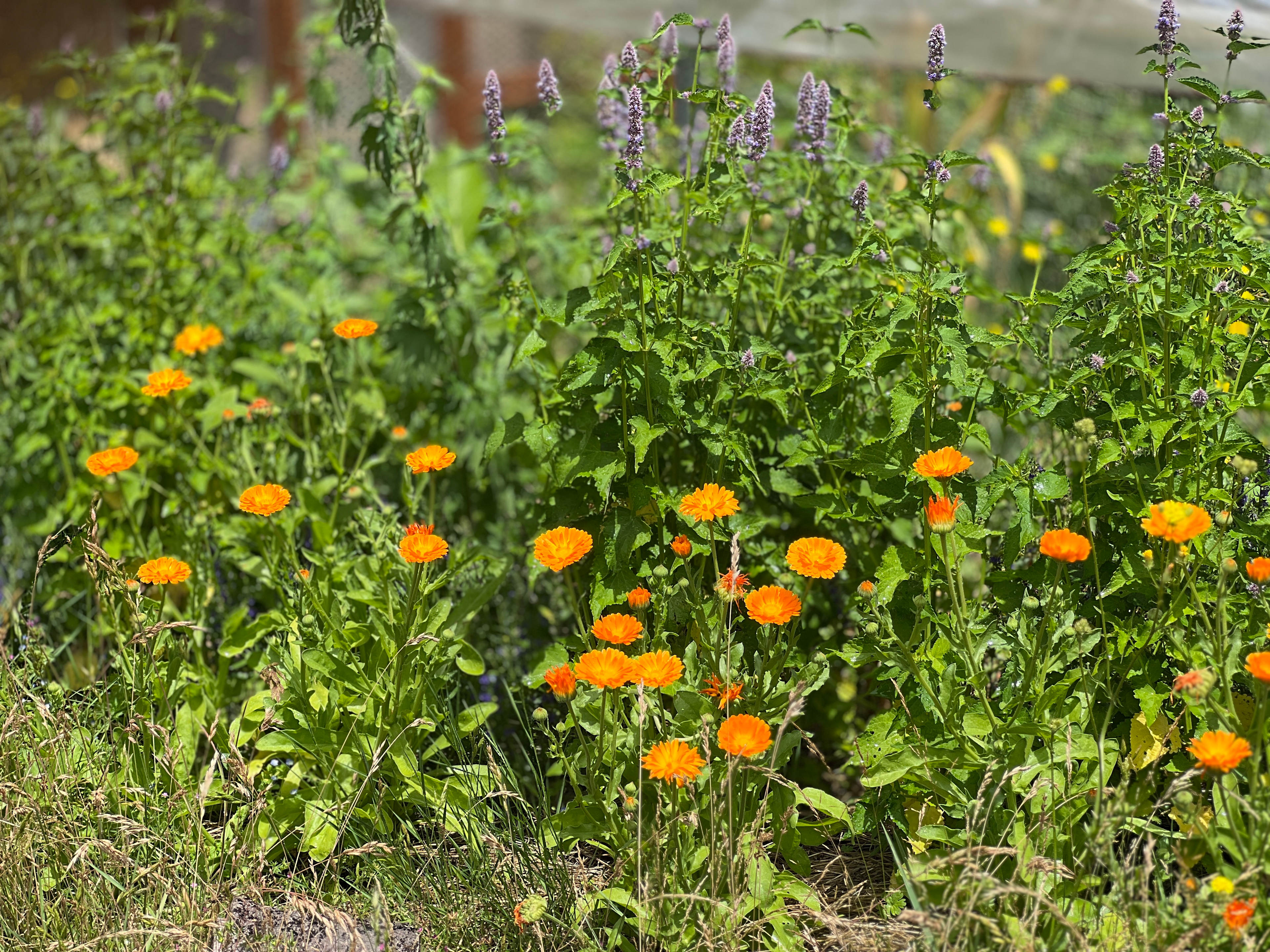 Homestead By Estacada Lake