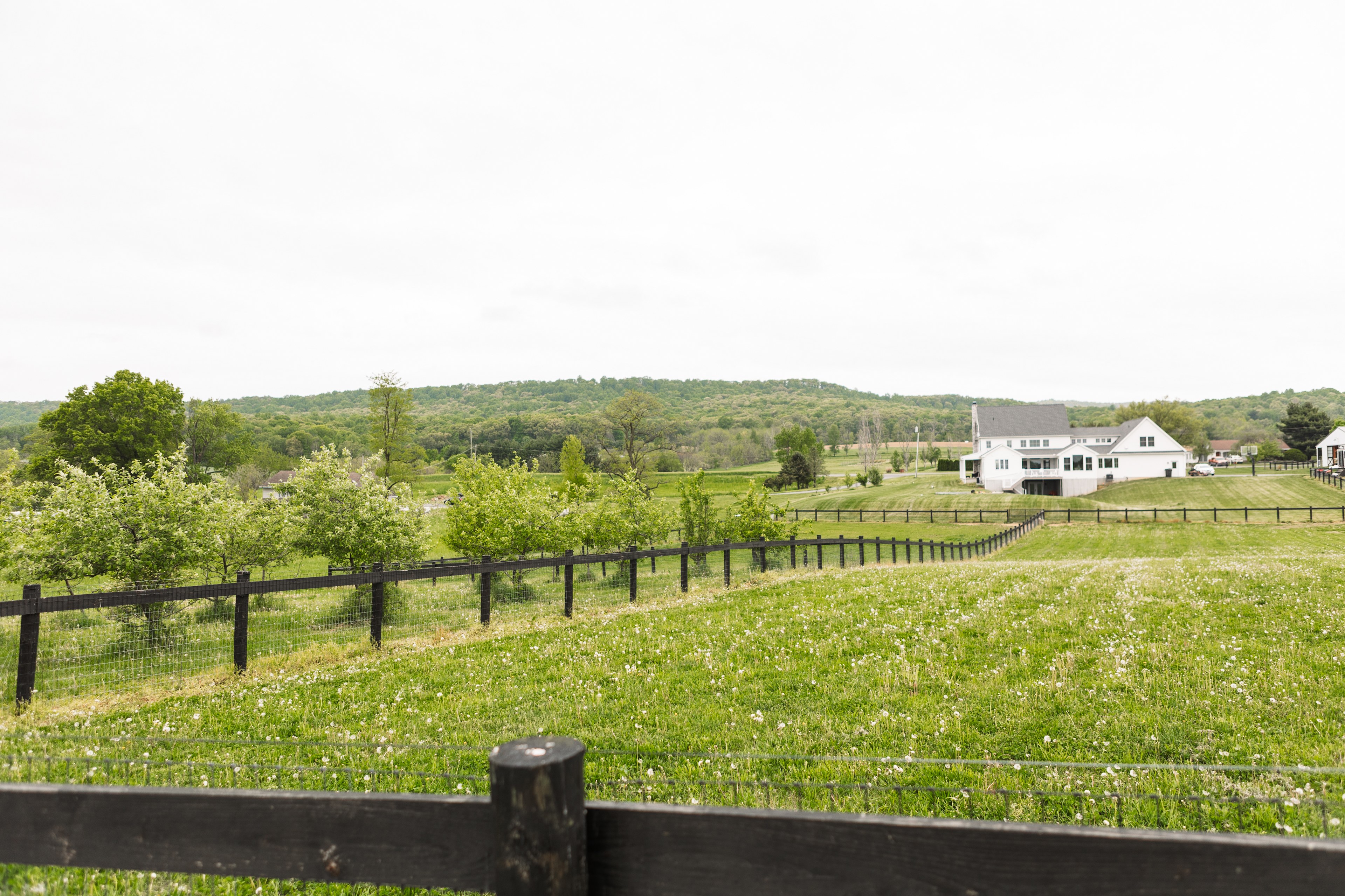 View by the orchard and horse pastures