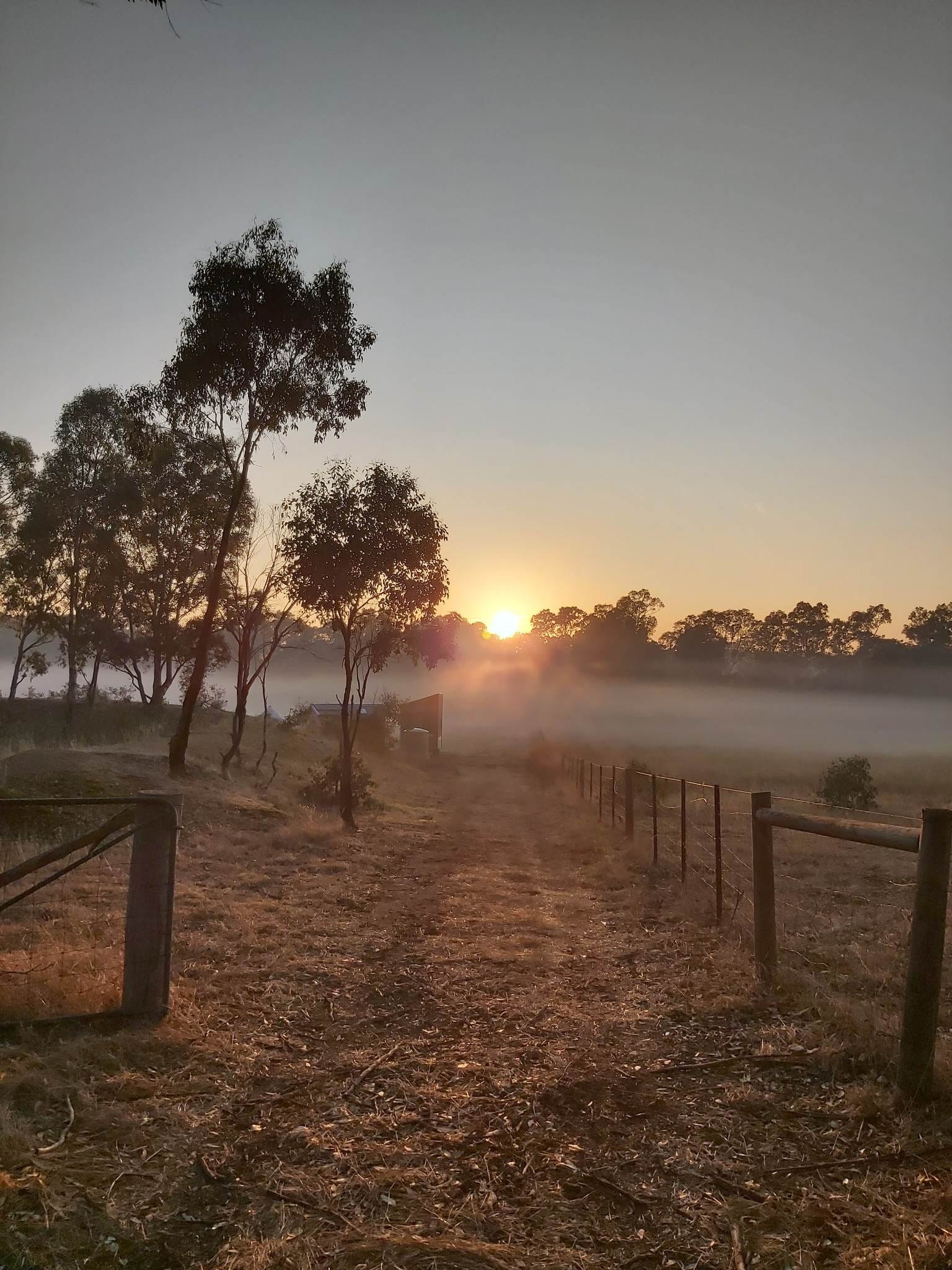 Peaceful Paddock - Castlemaine