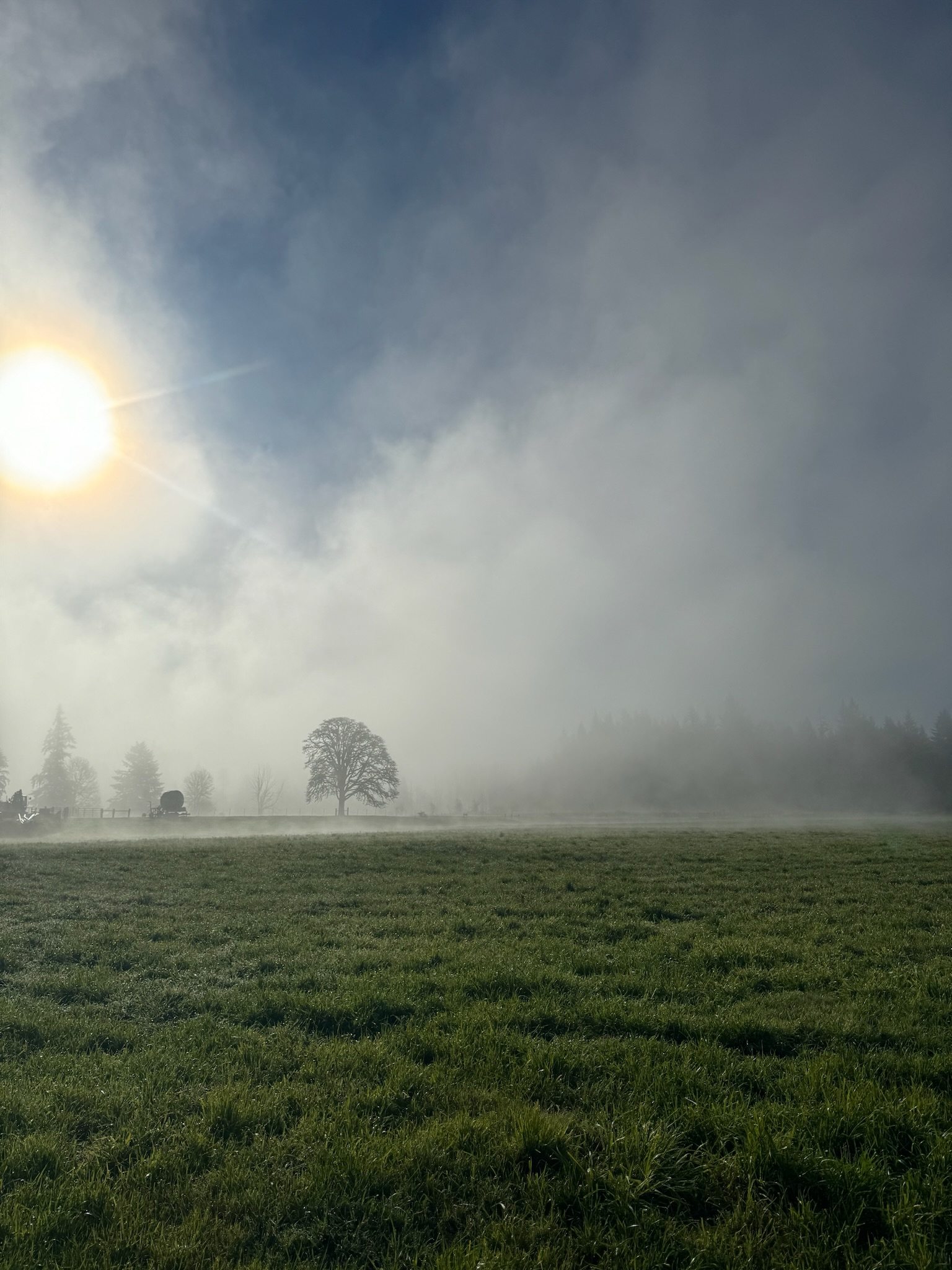 North Fork Land & Livestock RV Park