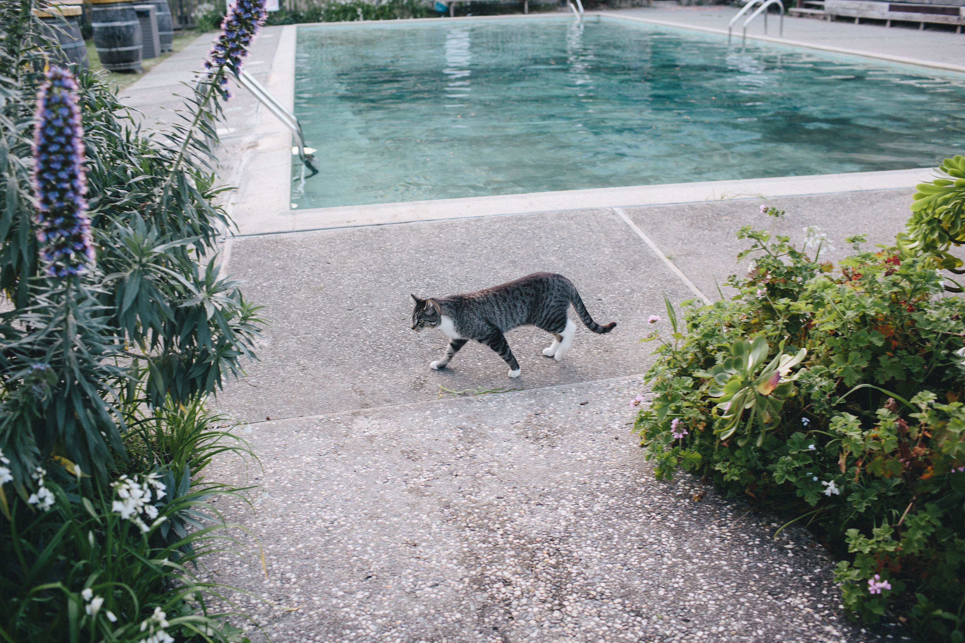 Venture Retreat Center