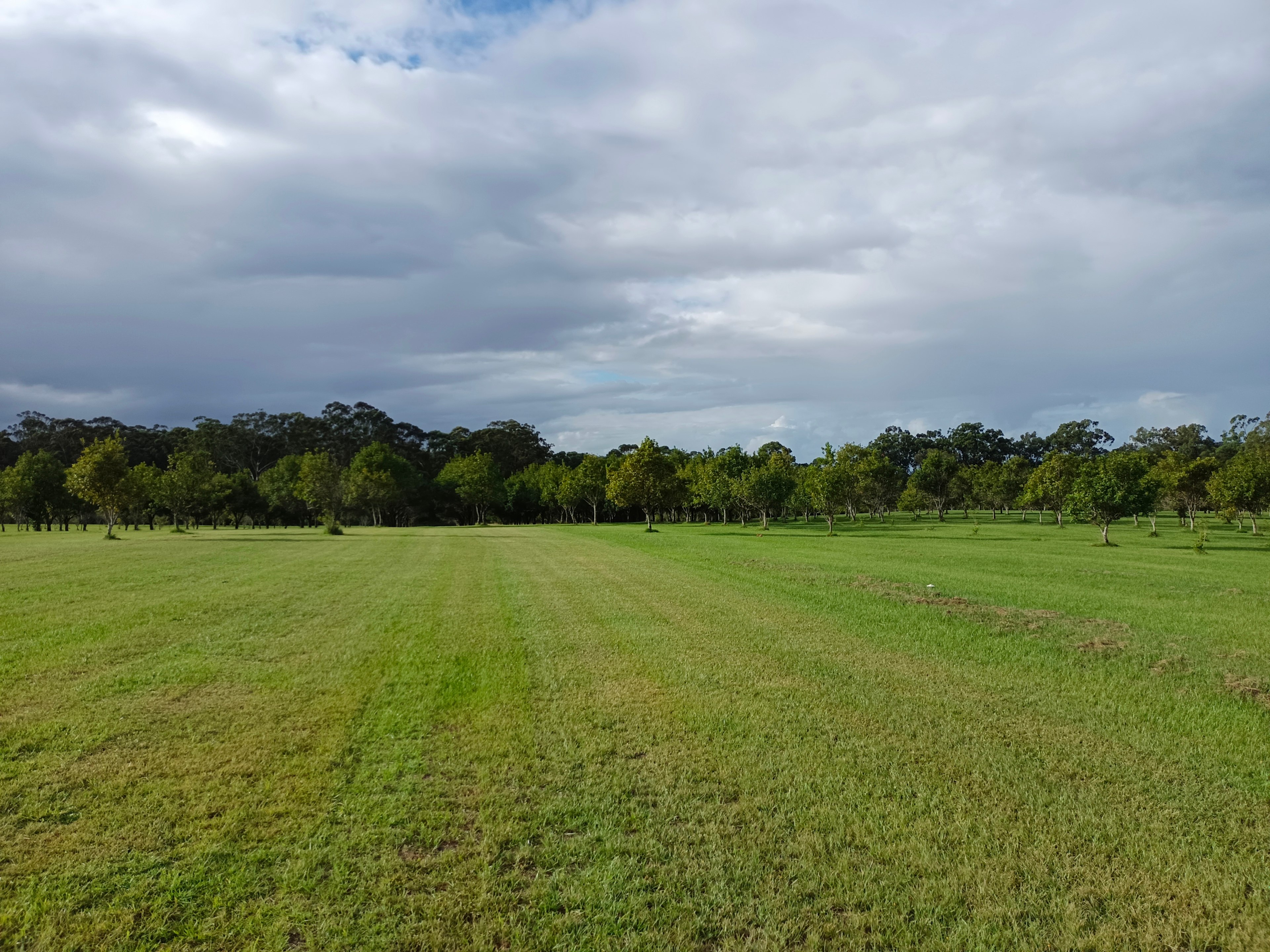 Cambridge Park Macca's